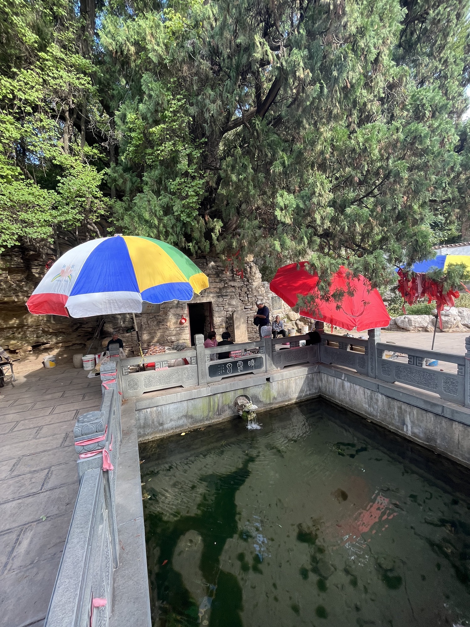 晓露泉旅行图片 2