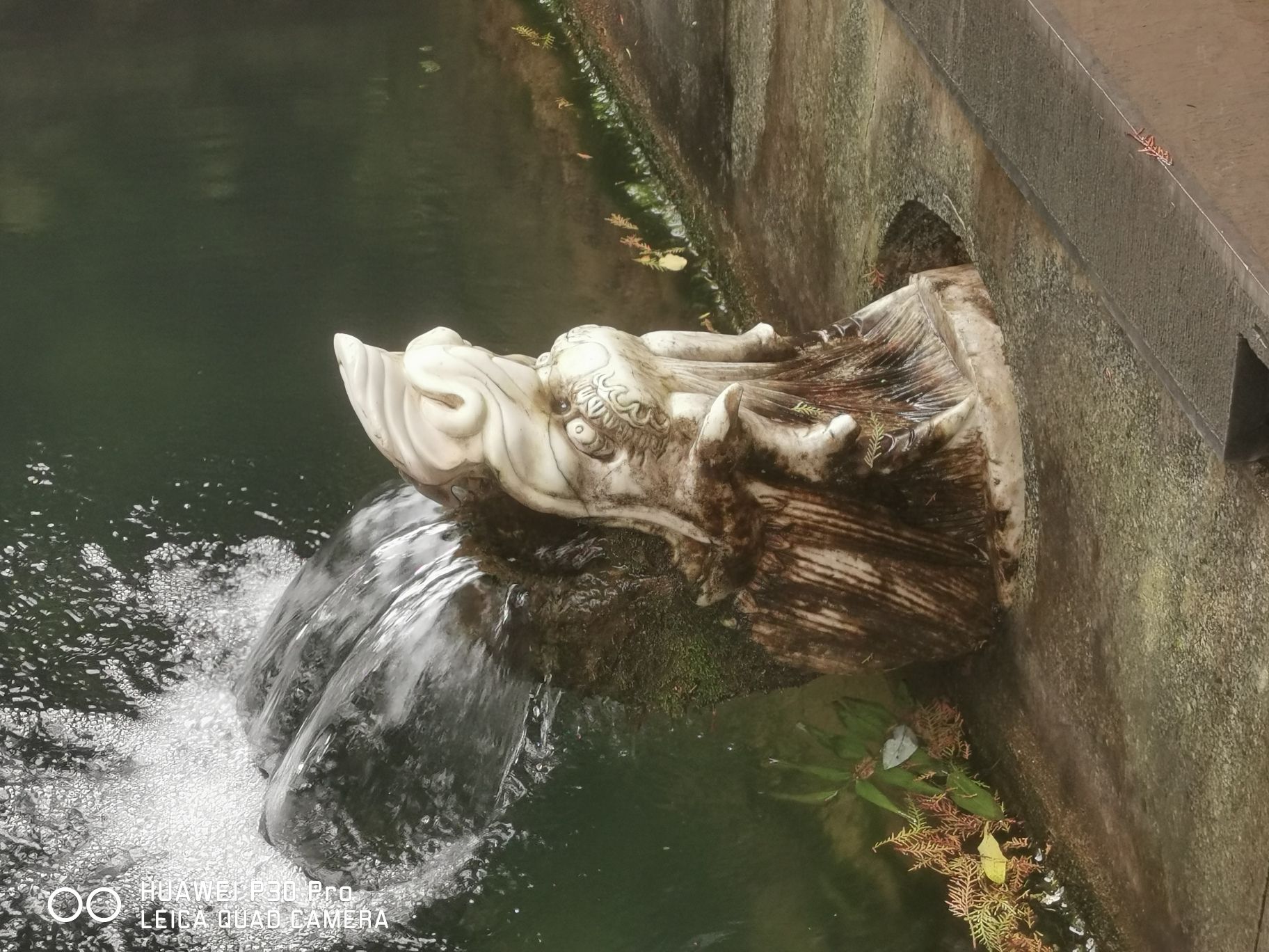 晓露泉旅行图片 2