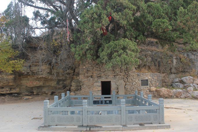 晓露泉旅行图片 3