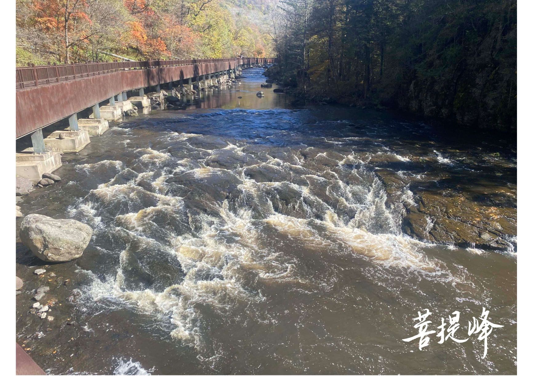 菩提峰景区旅行图片 3