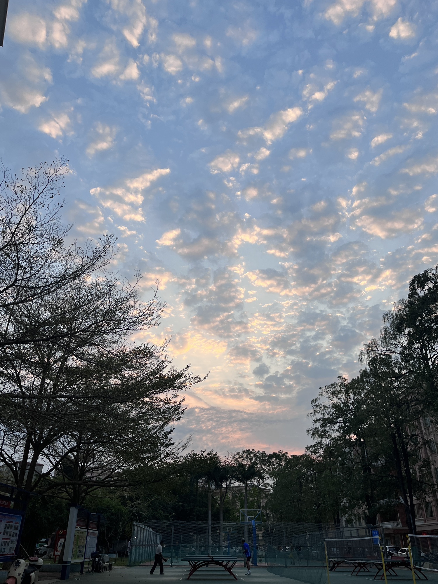 新湖好心公园旅行图片 2