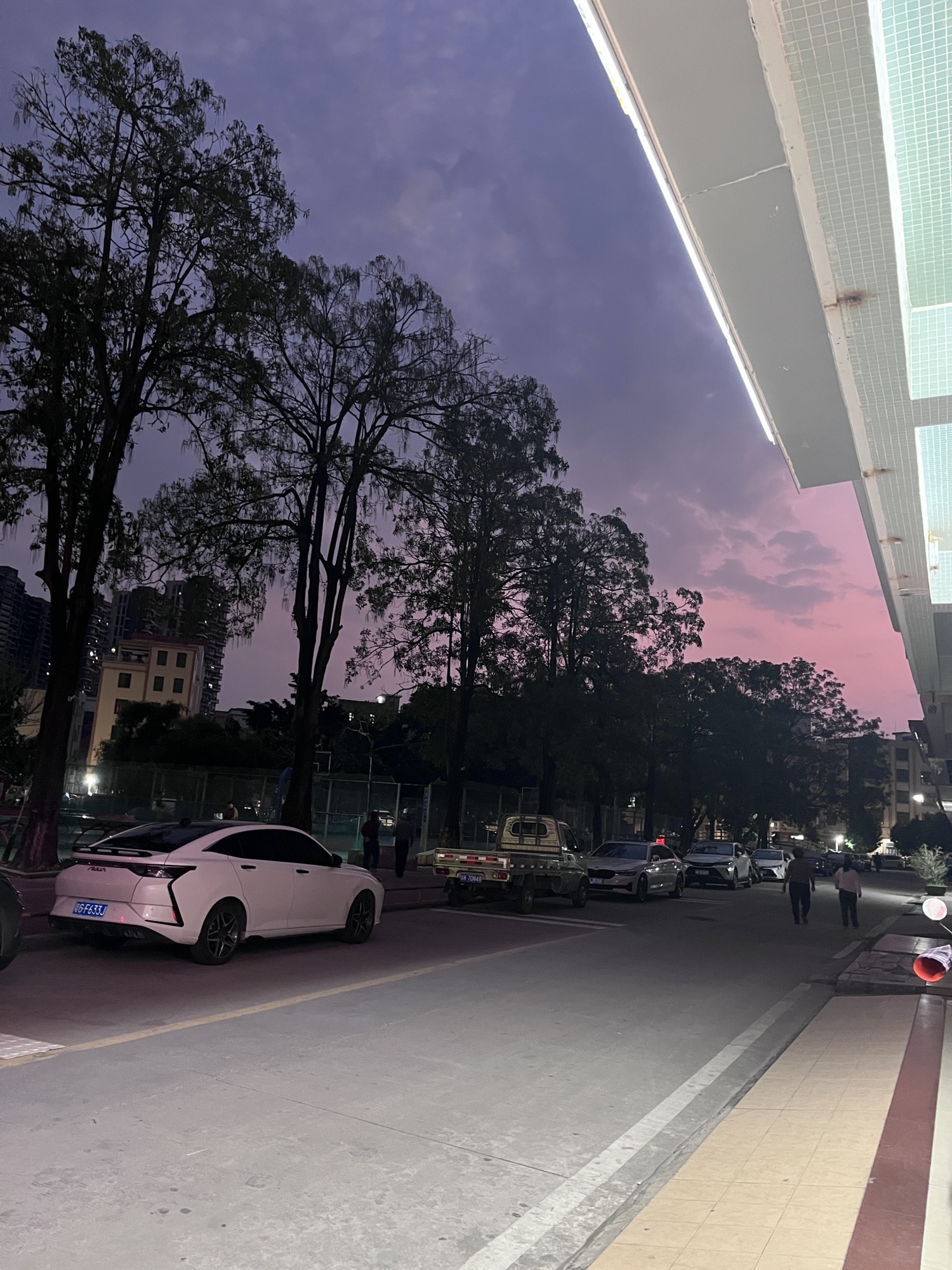新湖好心公园旅行图片 1