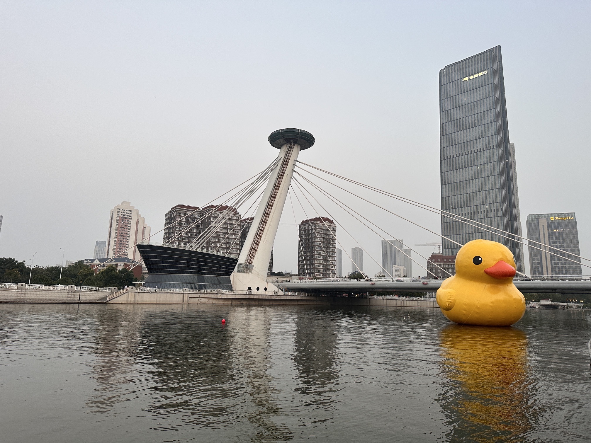 直沽桥旅行图片 2