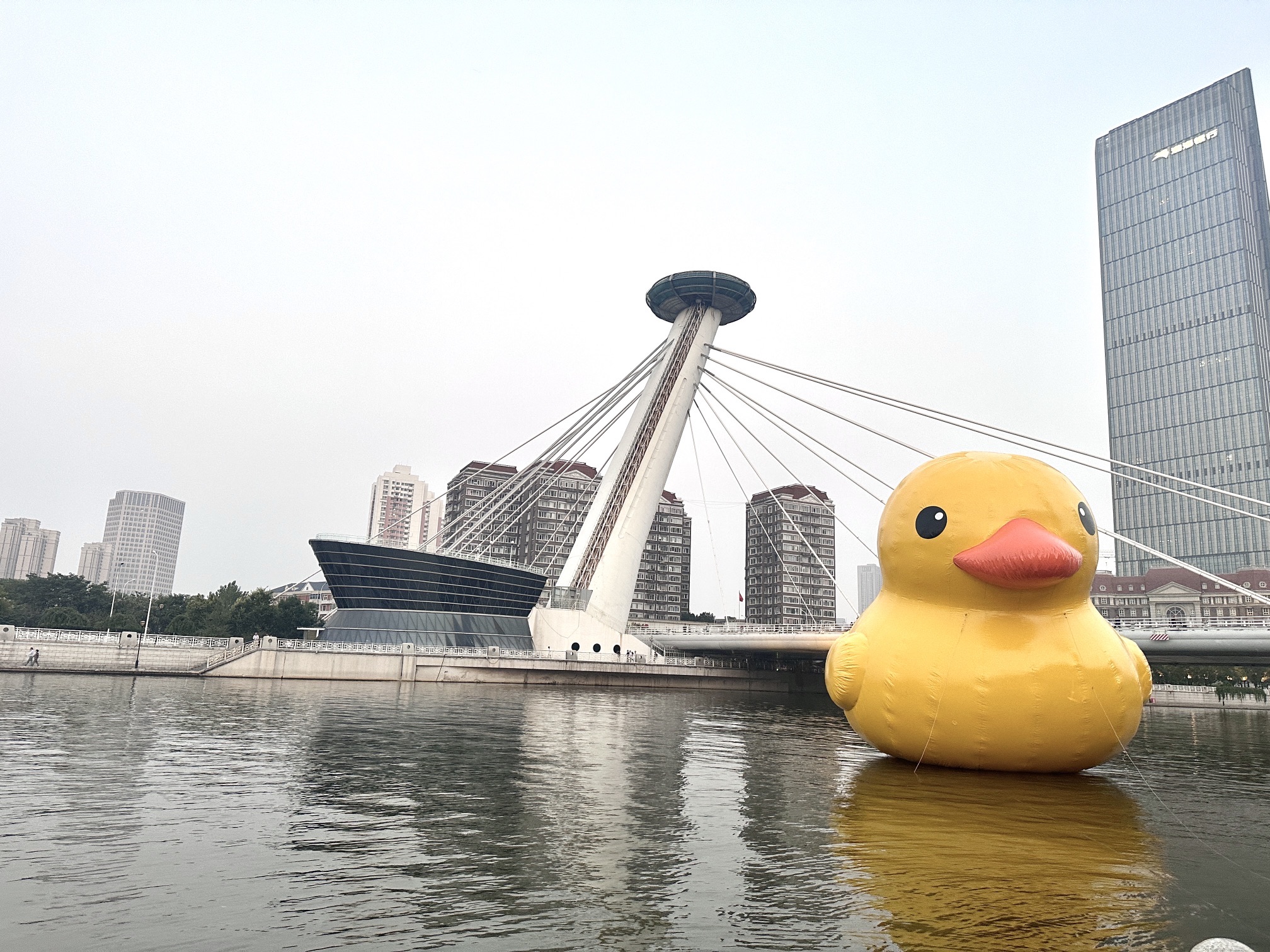 直沽桥旅行图片 1