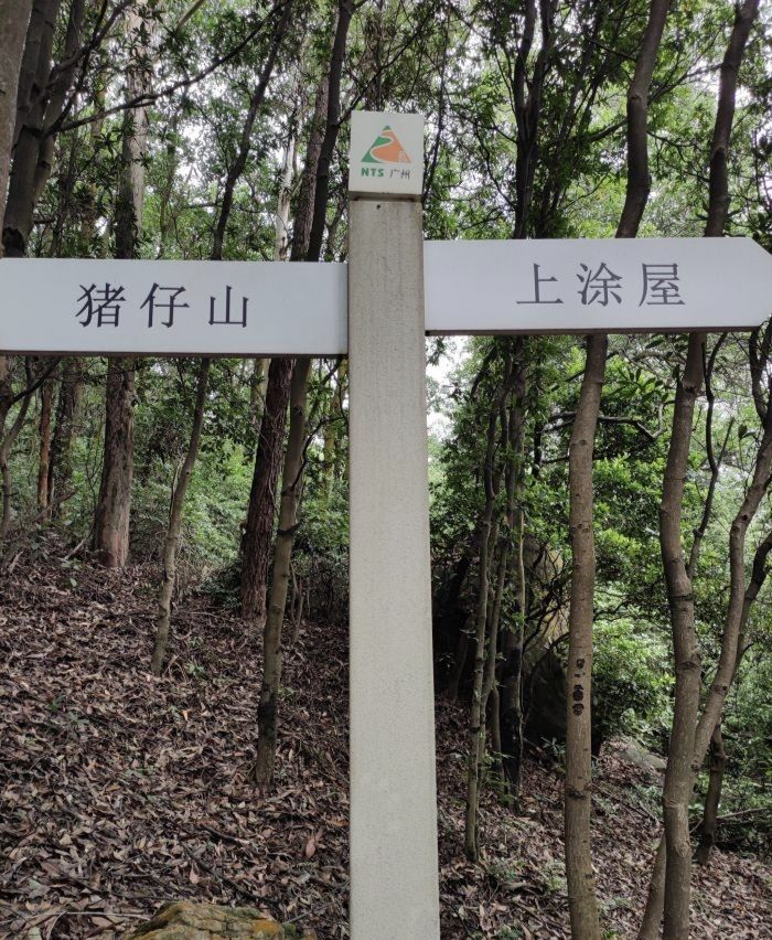 凤凰山森林公园旅行图片 1