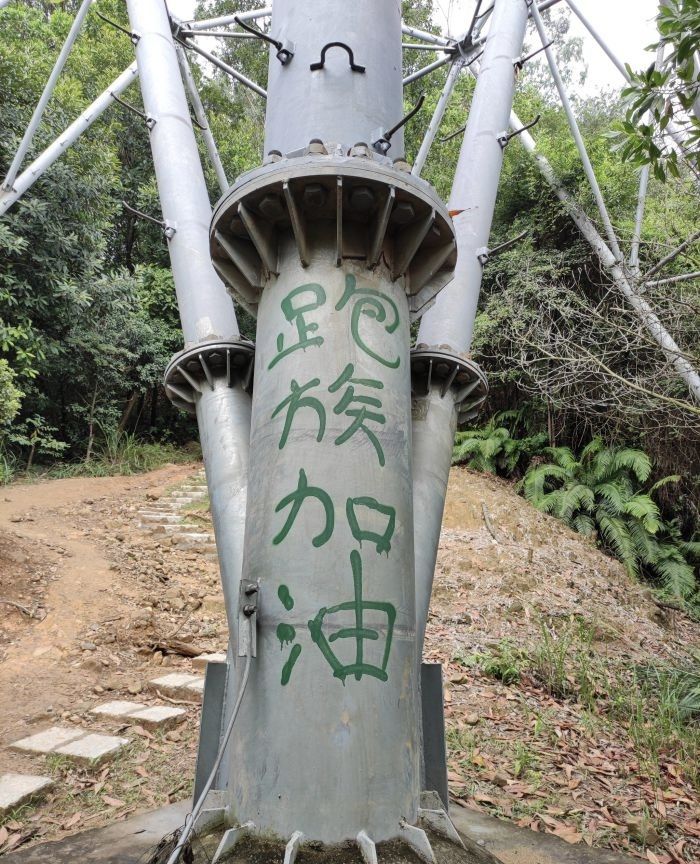 凤凰山森林公园旅行图片 3
