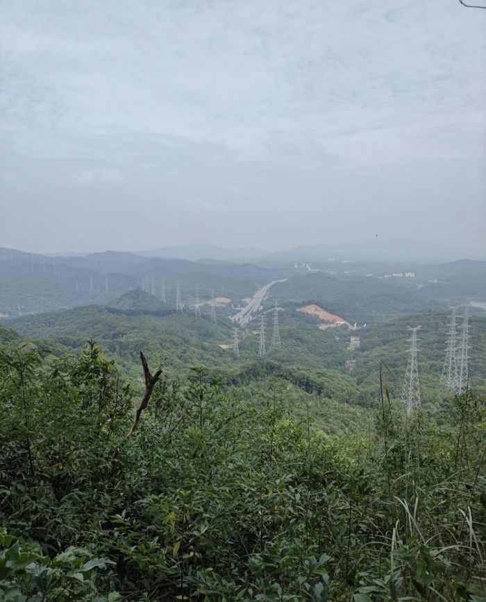凤凰山森林公园旅行图片 2