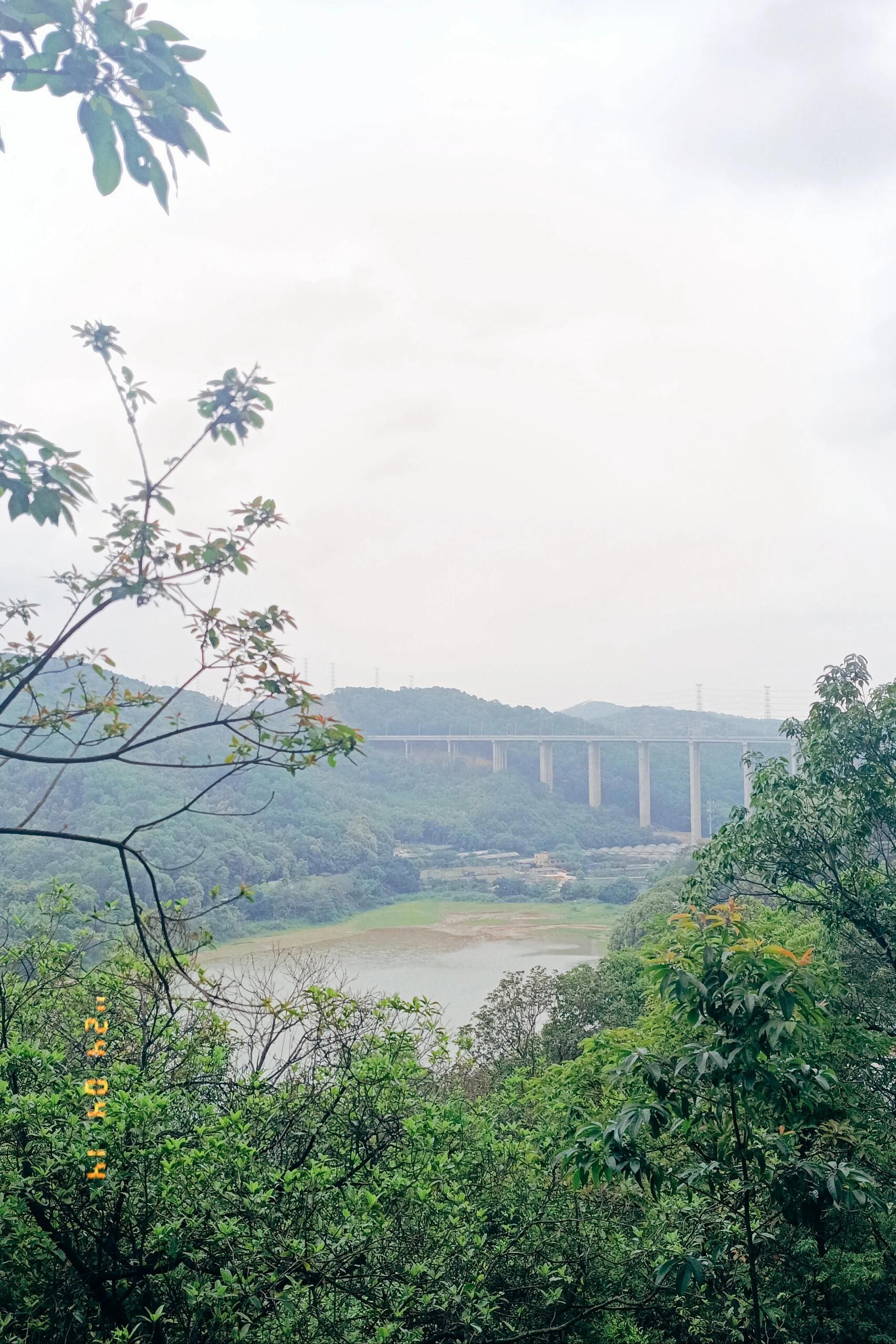 凤凰山森林公园旅行图片 2