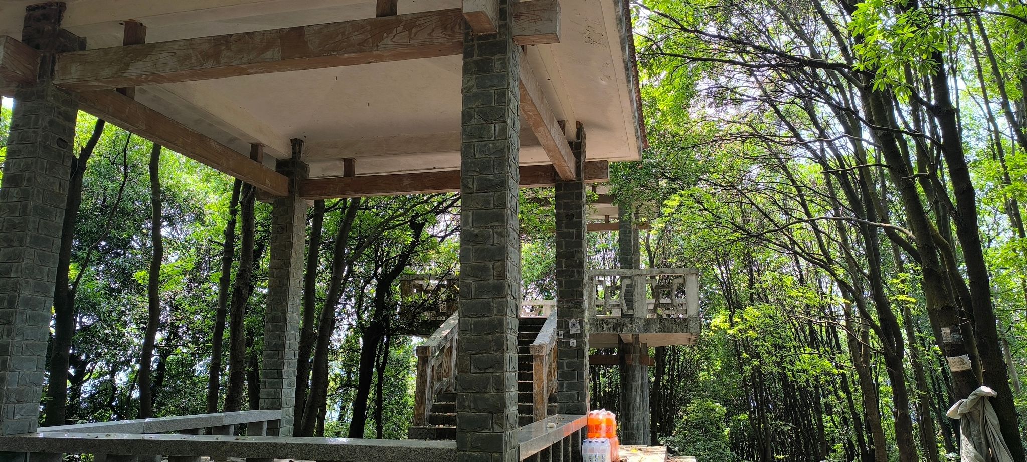 凤凰山森林公园旅行图片 2
