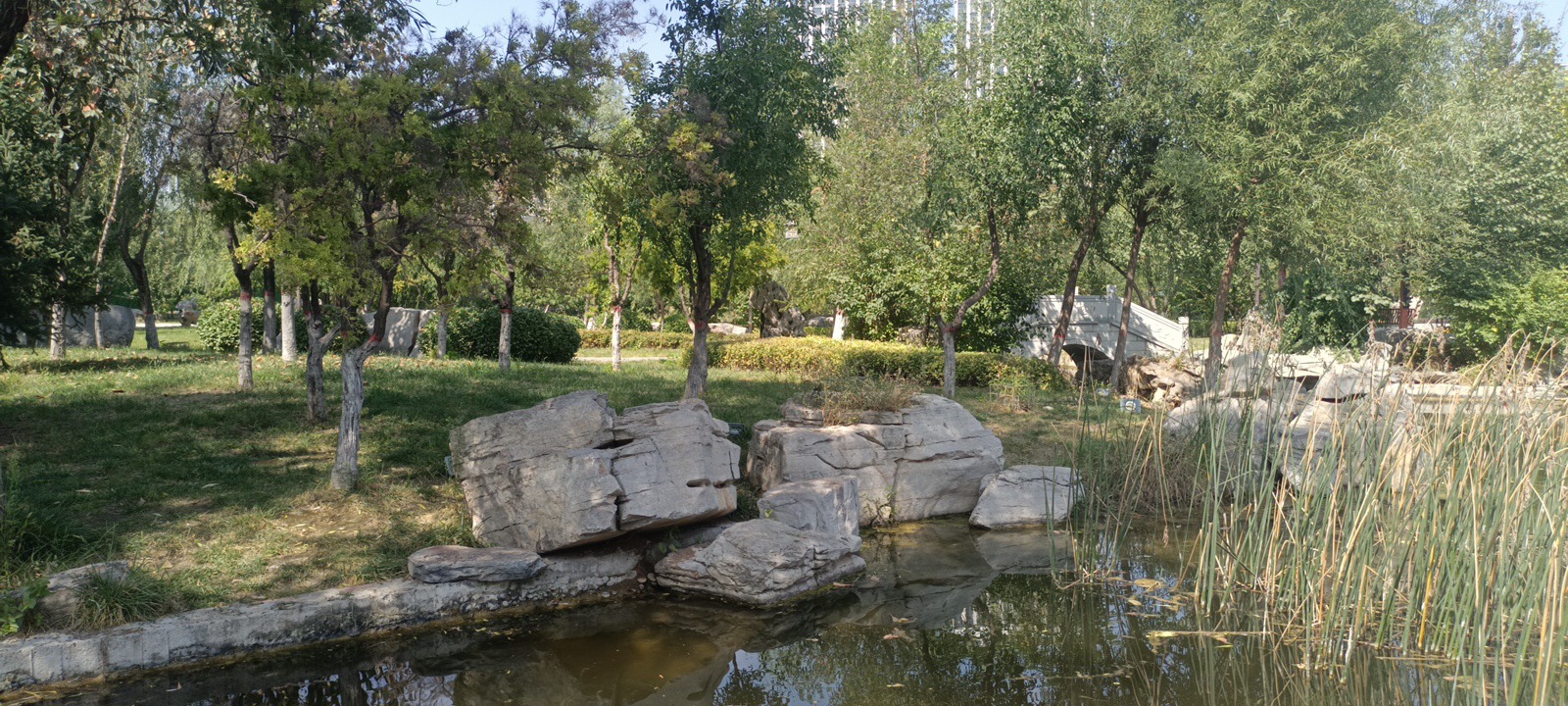 朝阳公园旅行图片 2