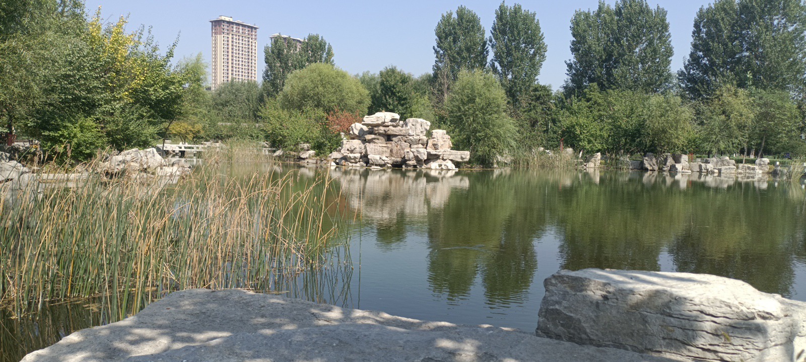 朝阳公园旅行图片 3