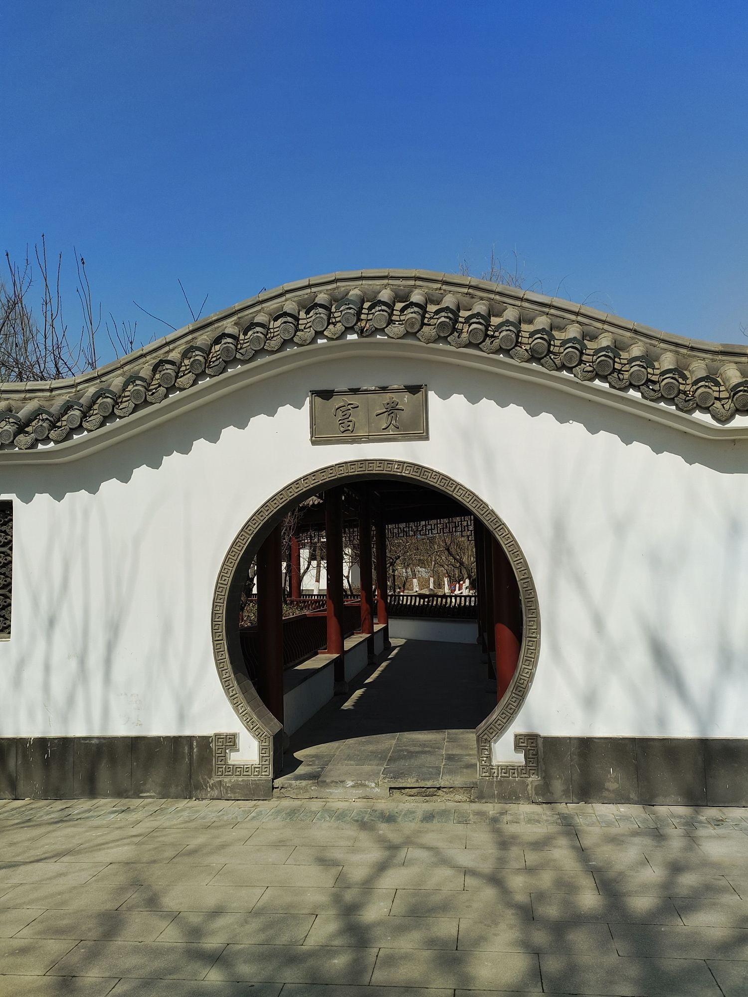 朝阳公园旅行图片 2