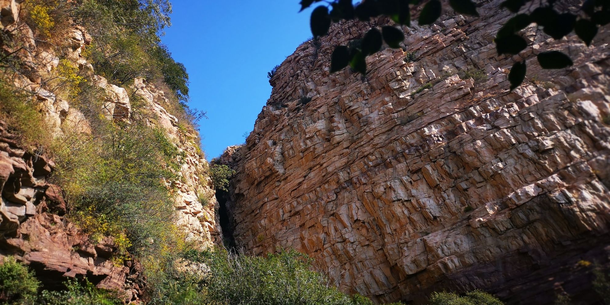 金华寺森林公园旅行图片 3