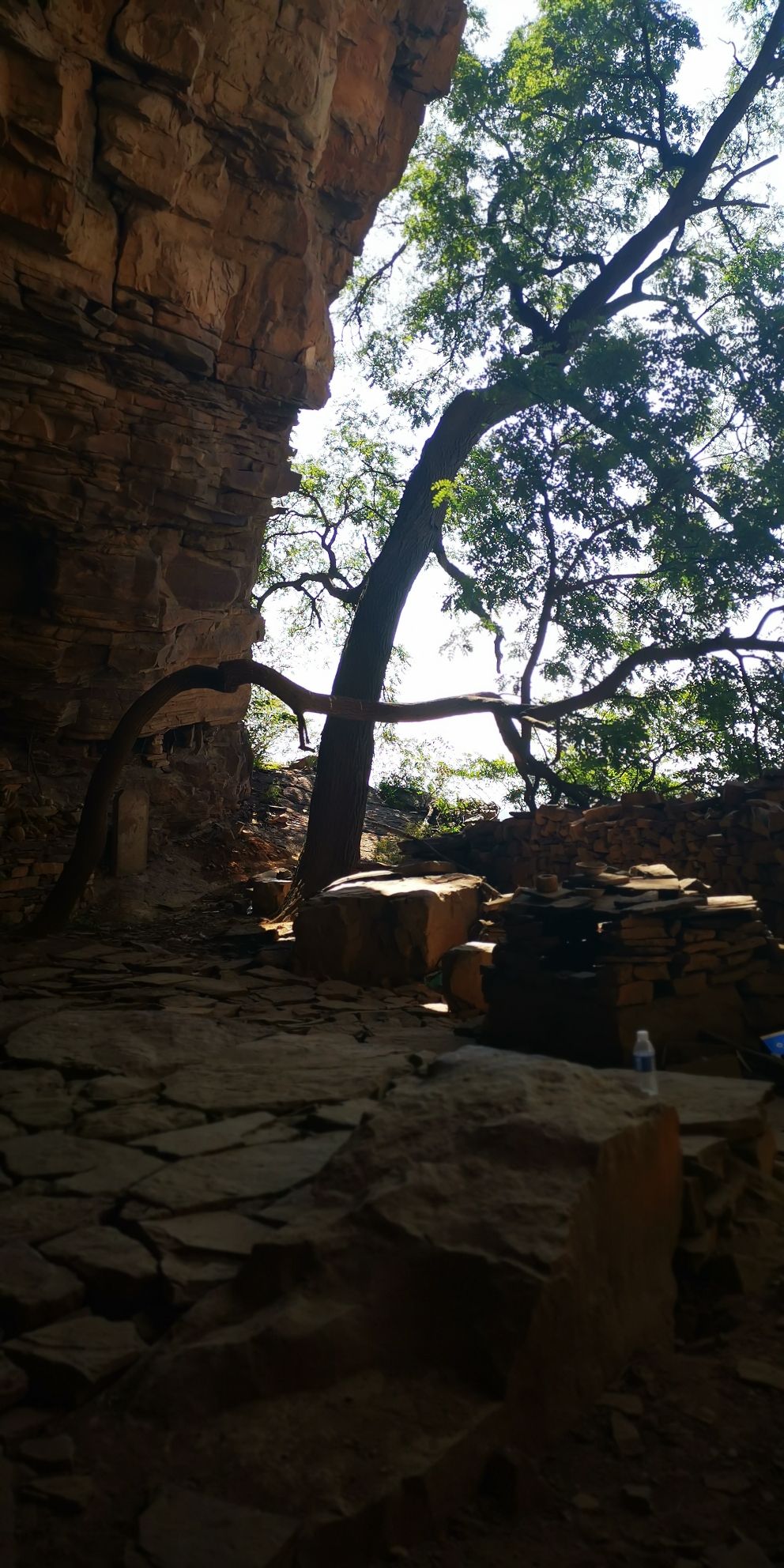 金华寺森林公园旅行图片 1