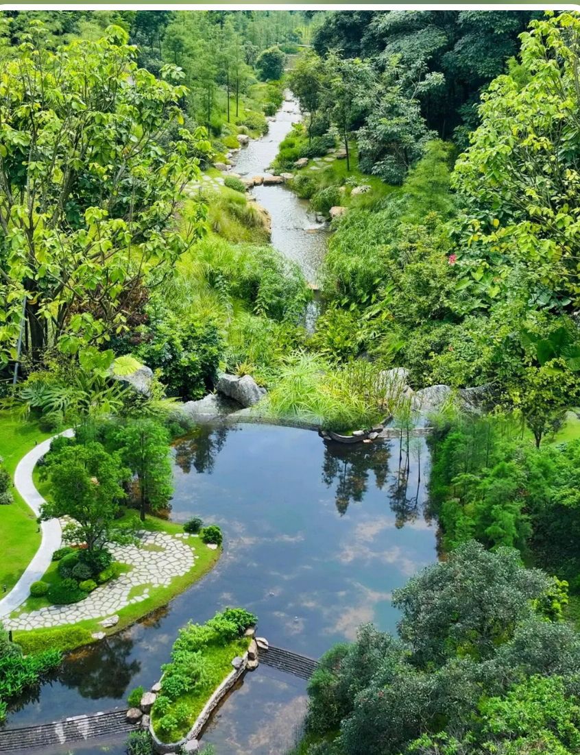 斗门水松林自然保护区旅行图片 1