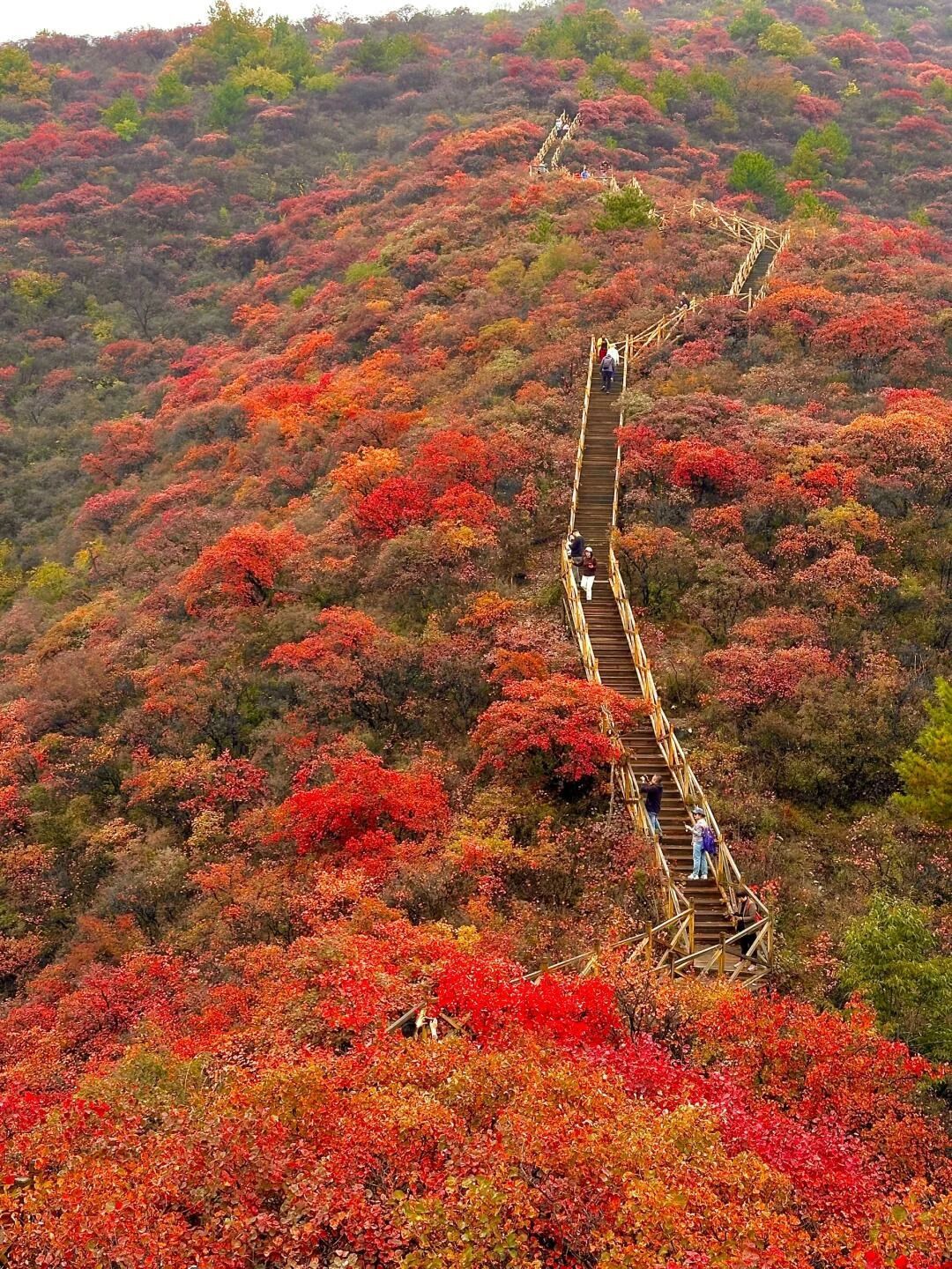 水峪民俗旅游村旅行图片 1