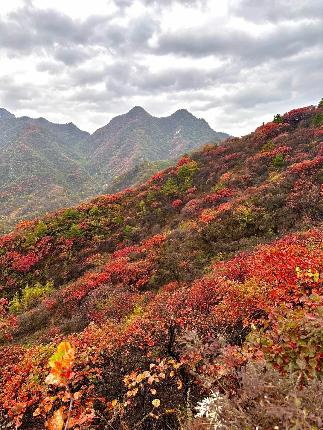 水峪民俗旅游村旅行图片 2