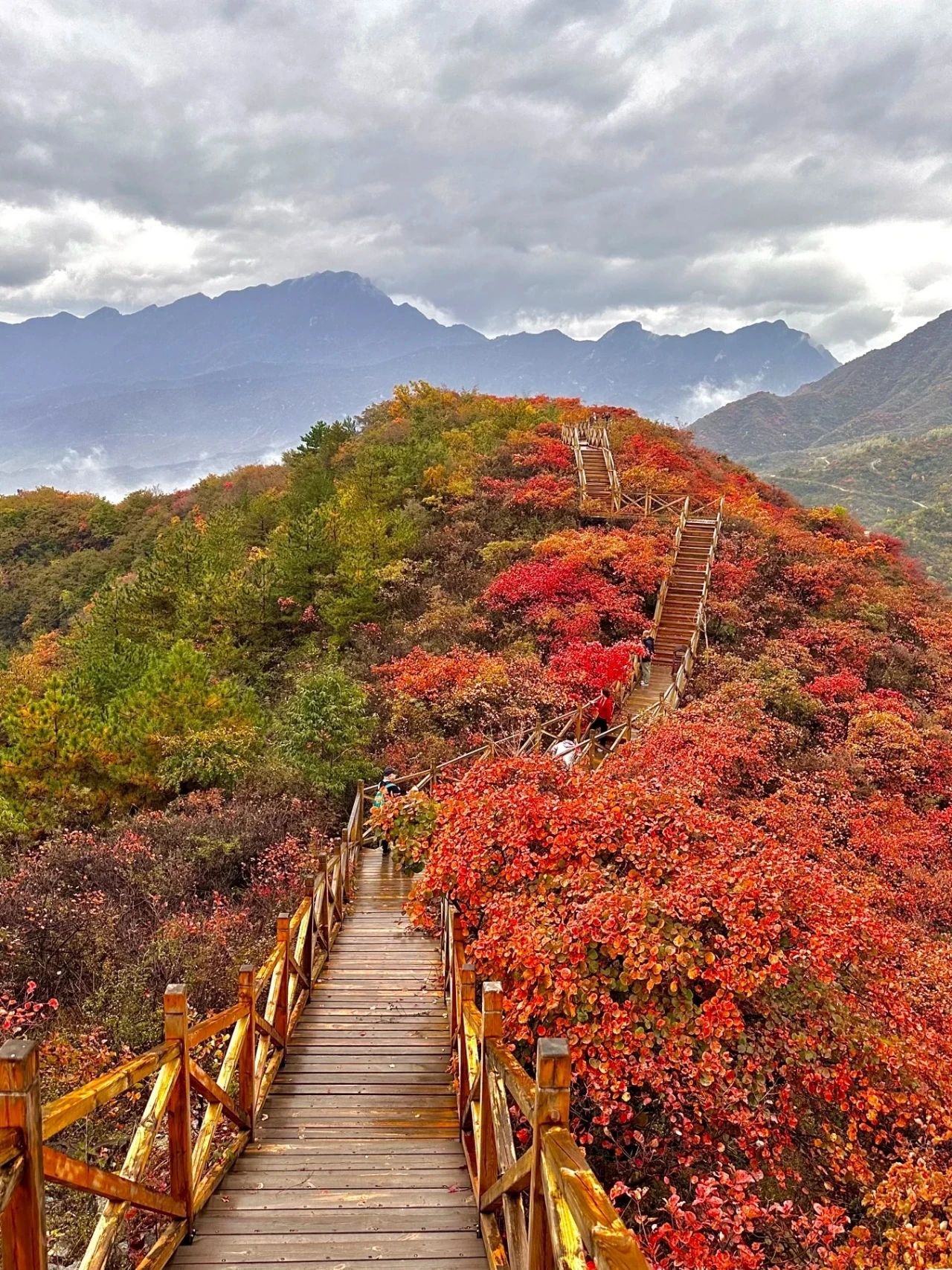 水峪民俗旅游村旅行图片 3