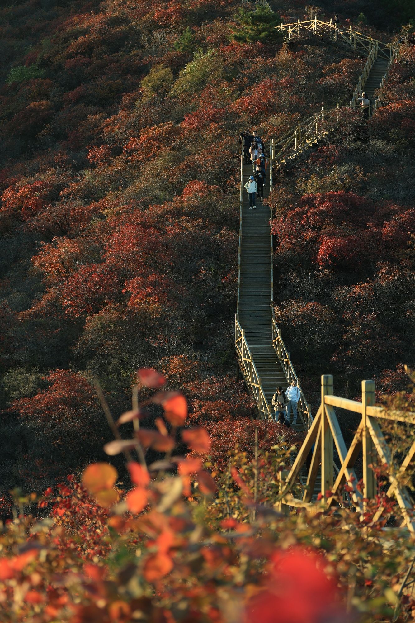 水峪民俗旅游村旅行图片 2