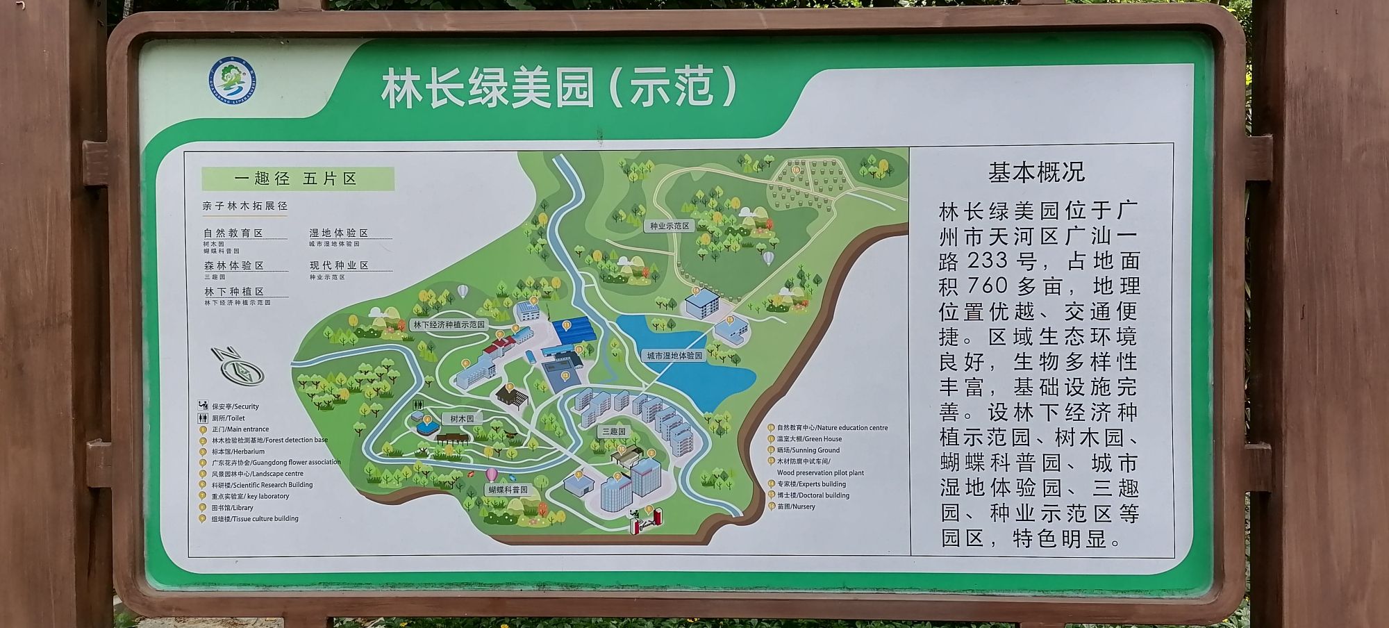 广东树木公园旅行图片 3