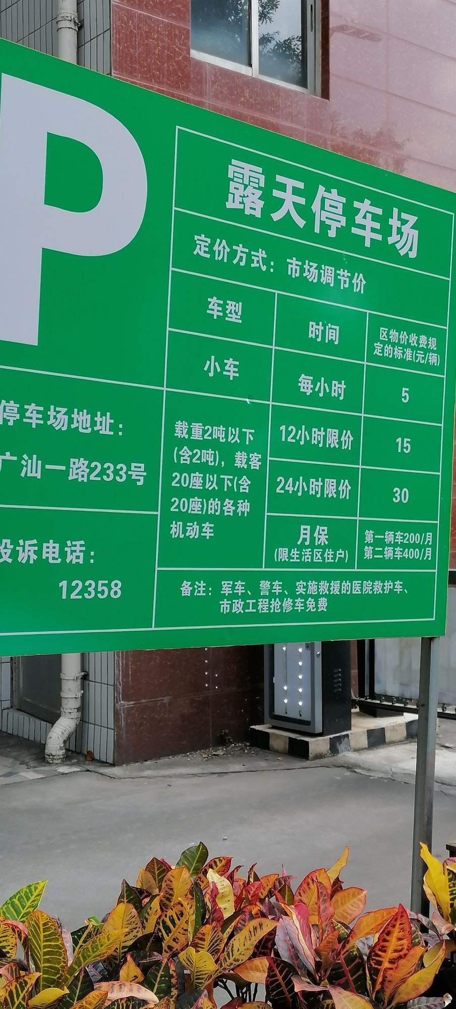 广东树木公园旅行图片 2
