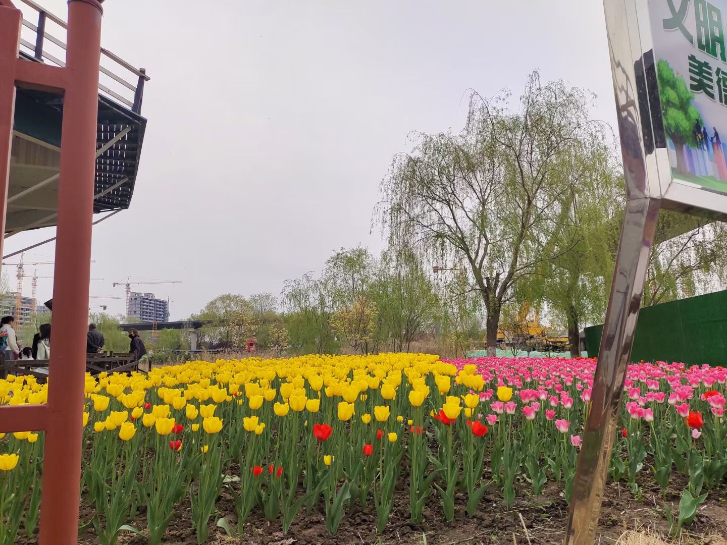 秦皇河湿地公园旅行图片 2