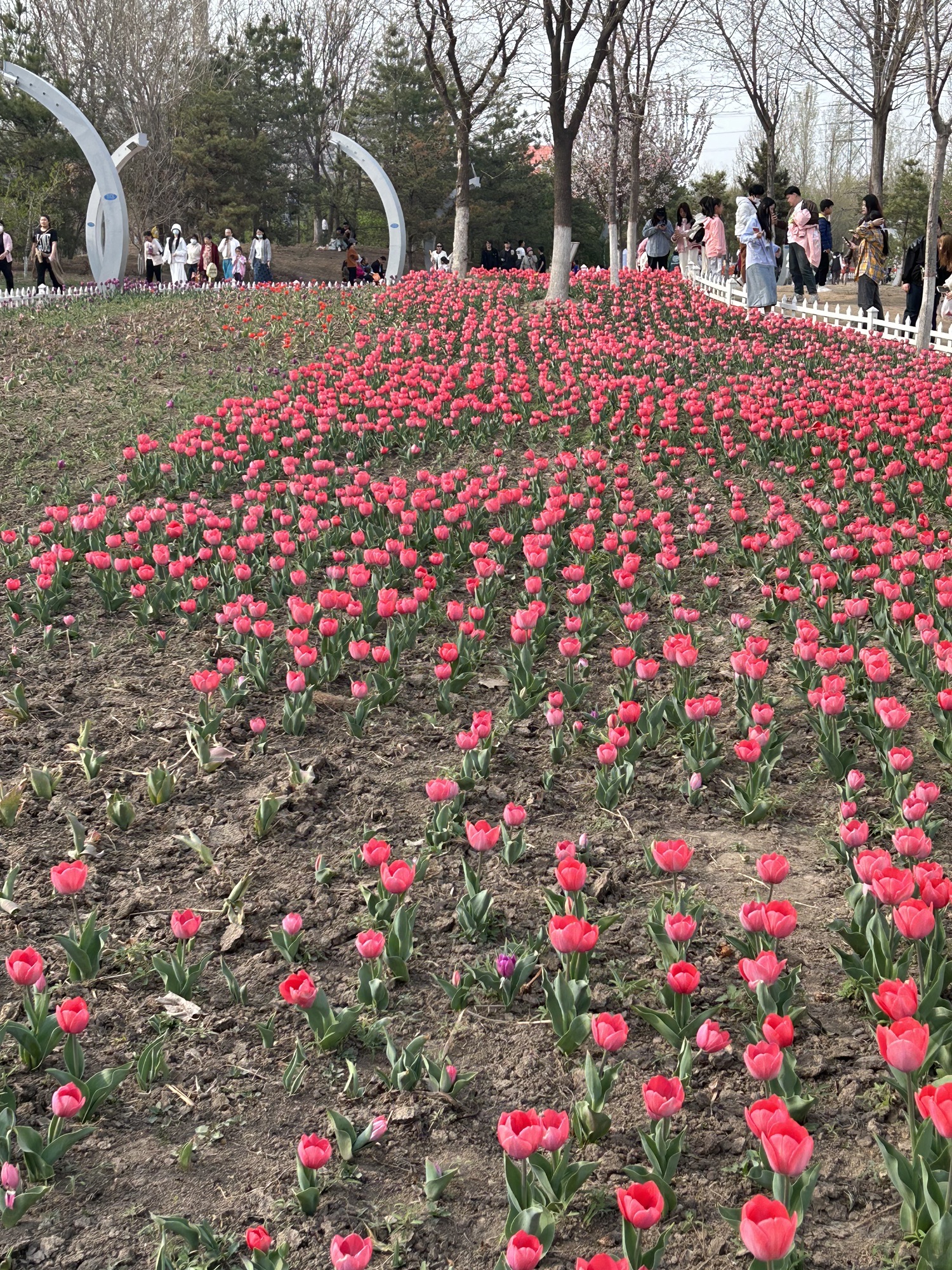 秦皇河湿地公园旅行图片 3