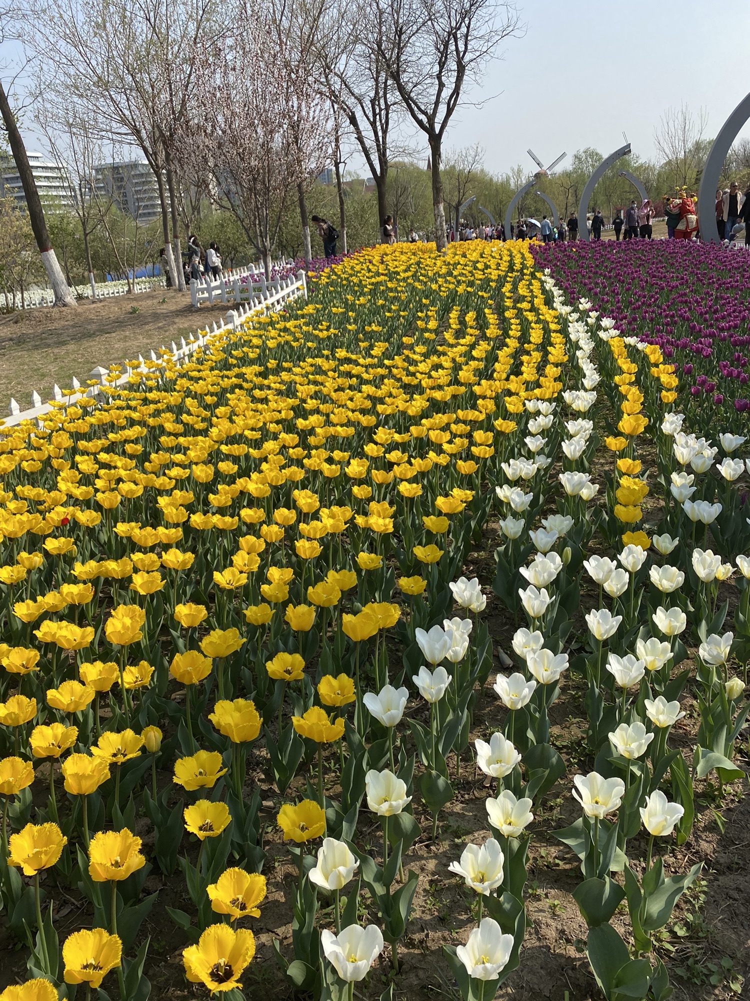 秦皇河湿地公园旅行图片 2