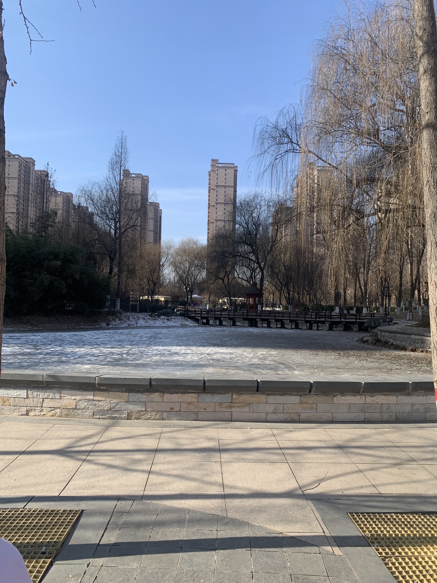 紫晶公园旅行图片 2