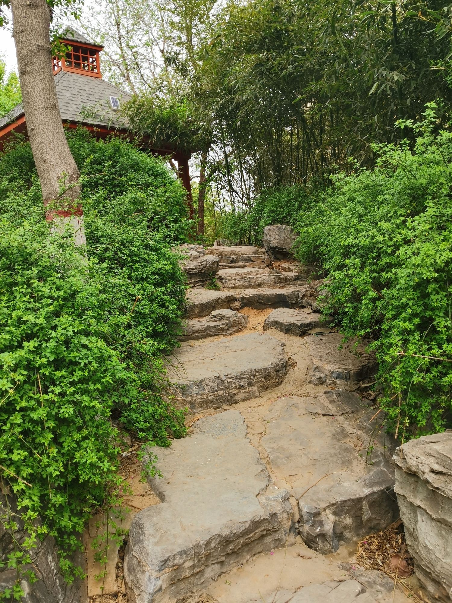紫晶公园旅行图片 2
