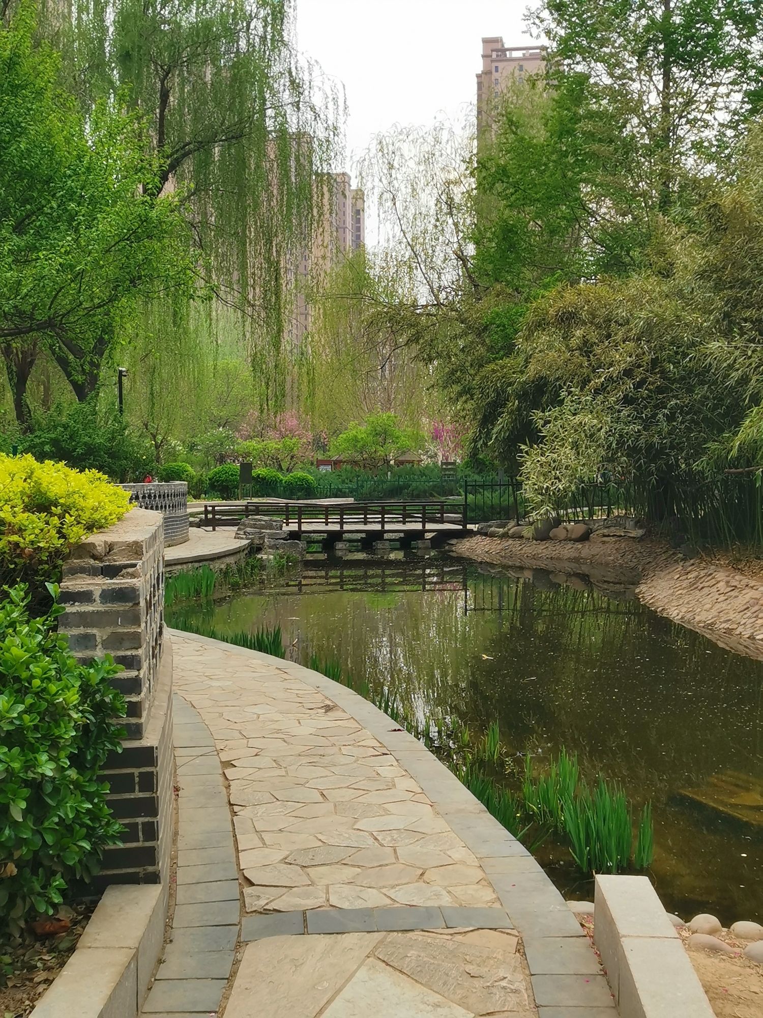 紫晶公园旅行图片 1