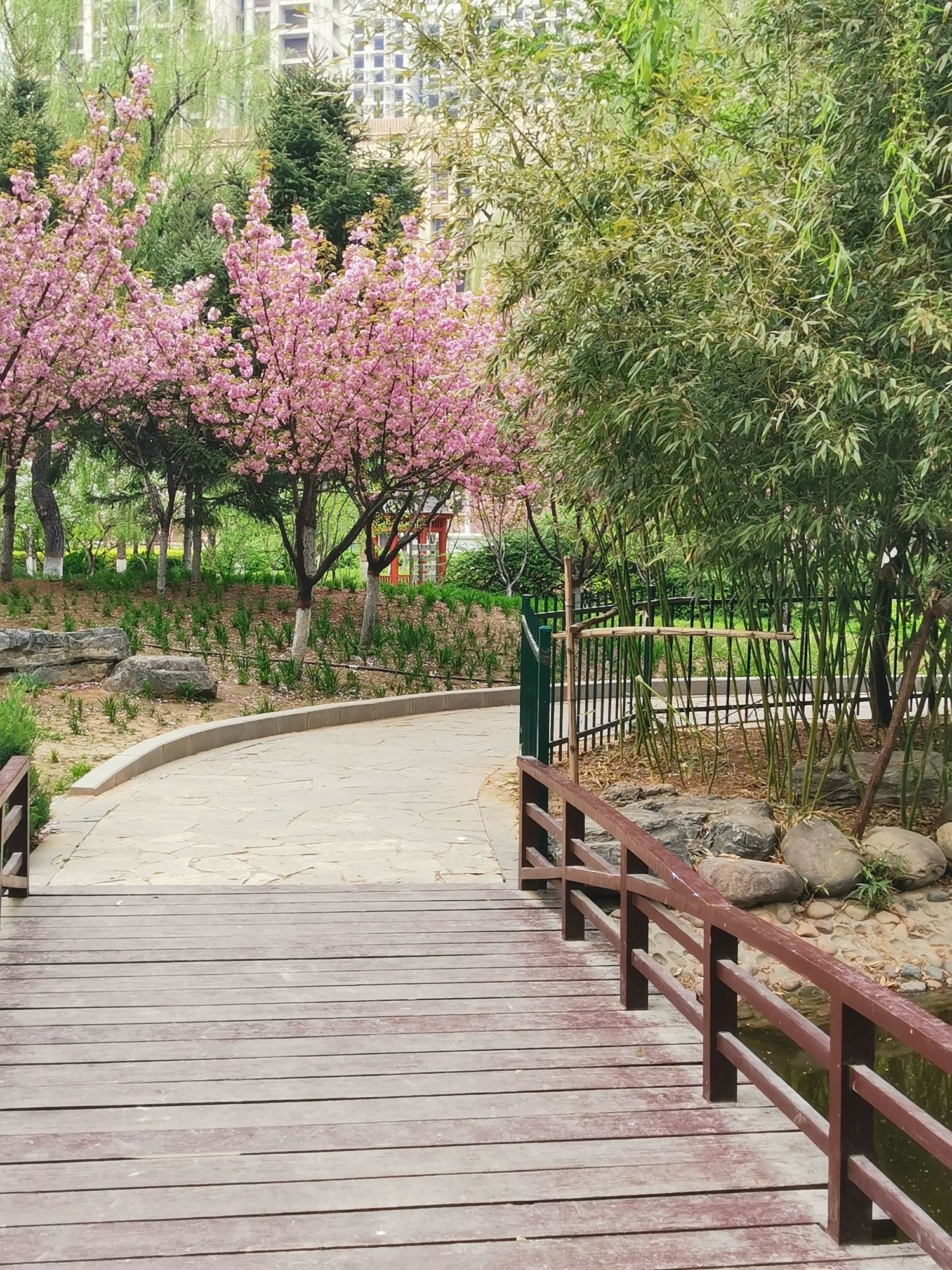 紫晶公园旅行图片 3