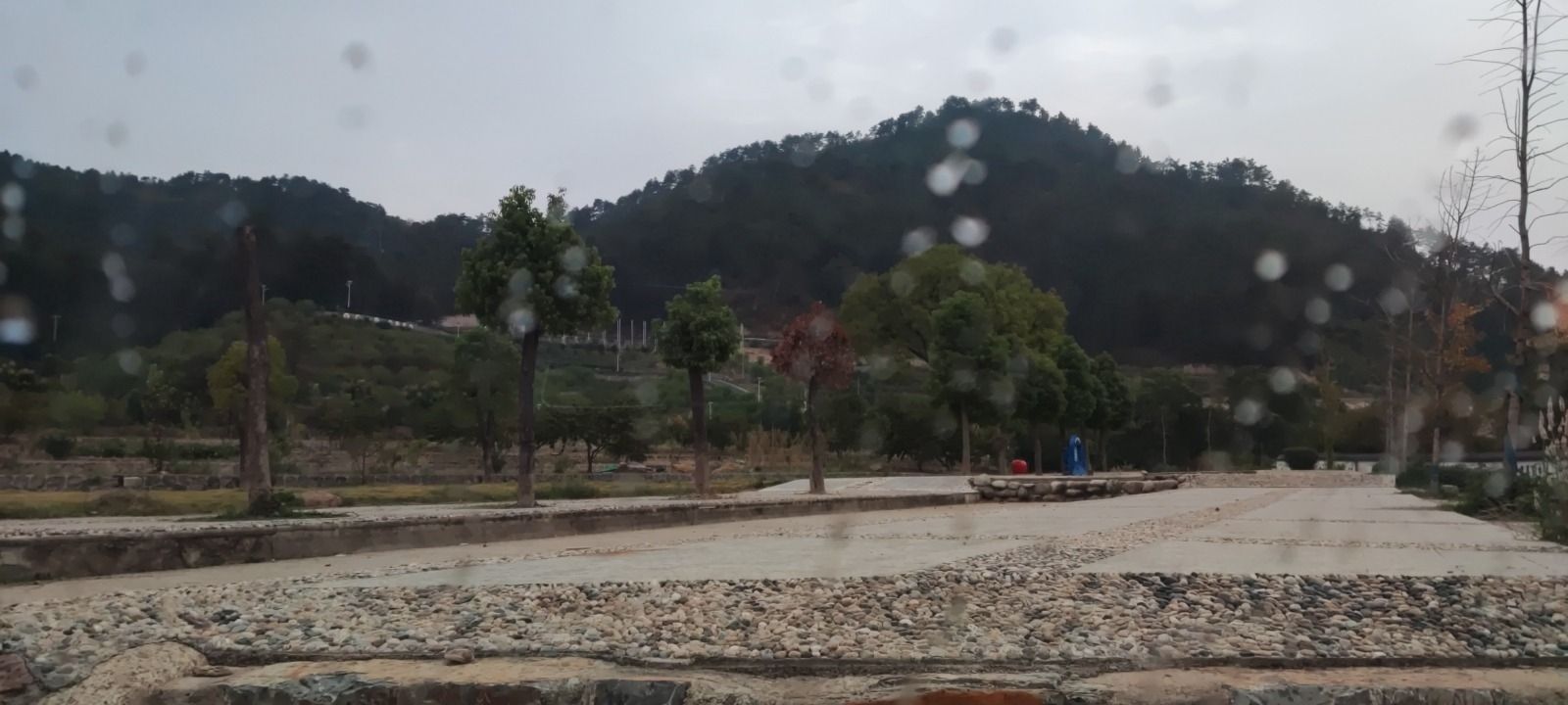 湖北省沼山森林公园旅行图片 3
