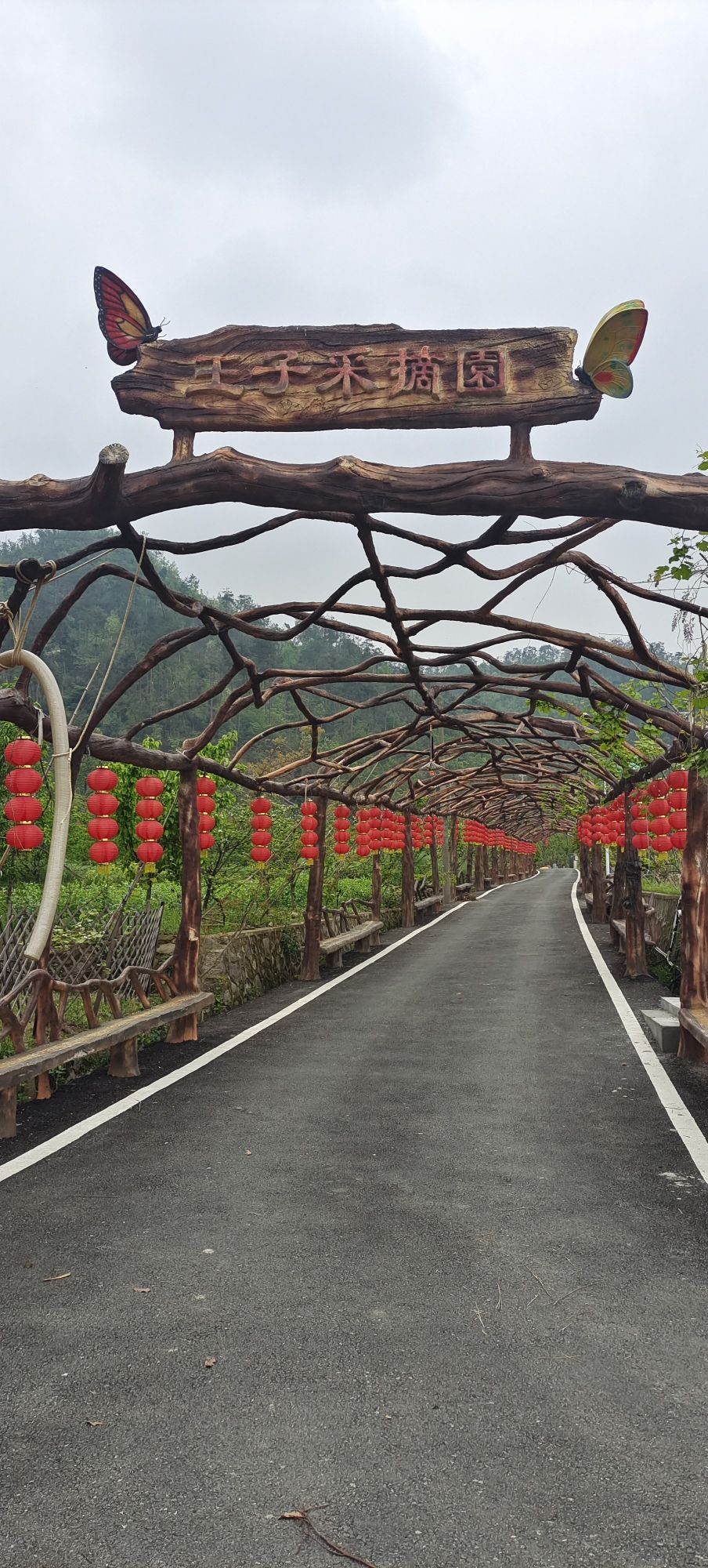 湖北省沼山森林公园旅行图片 2