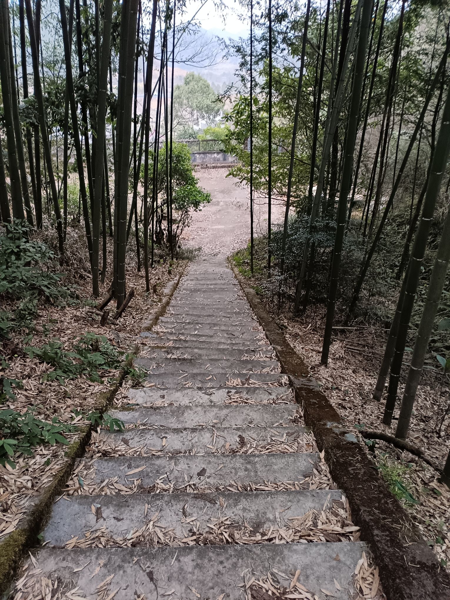 白石岩旅行图片 3
