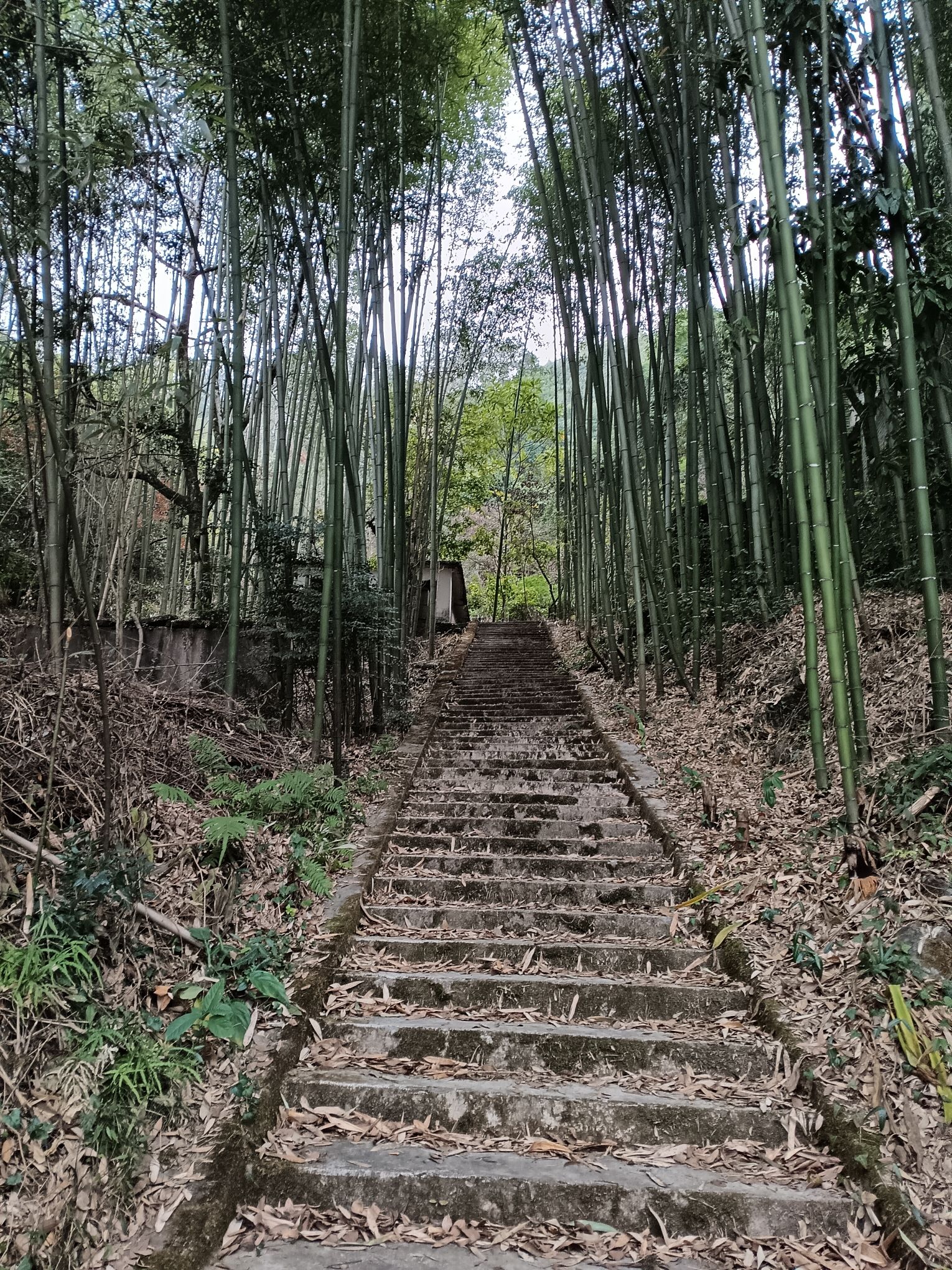 白石岩旅行图片 2