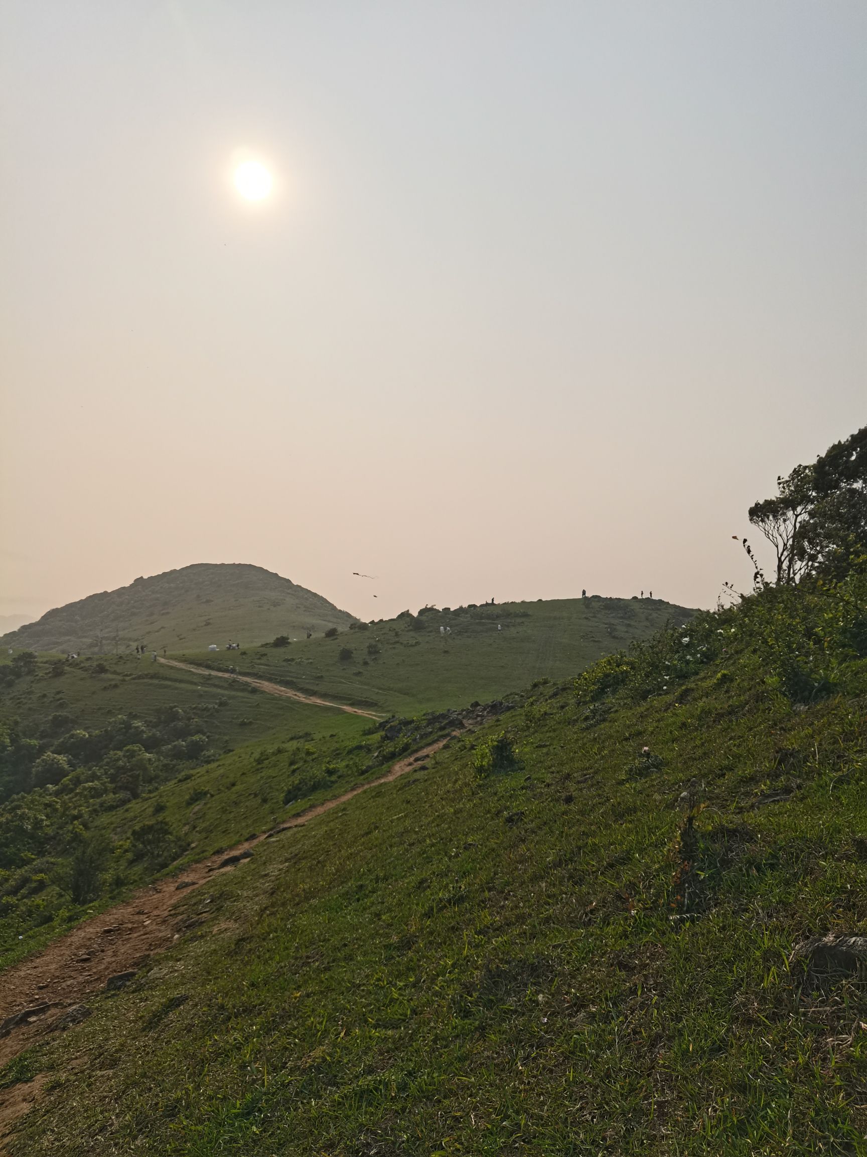 大姆山·食菜厝景区旅行图片 3