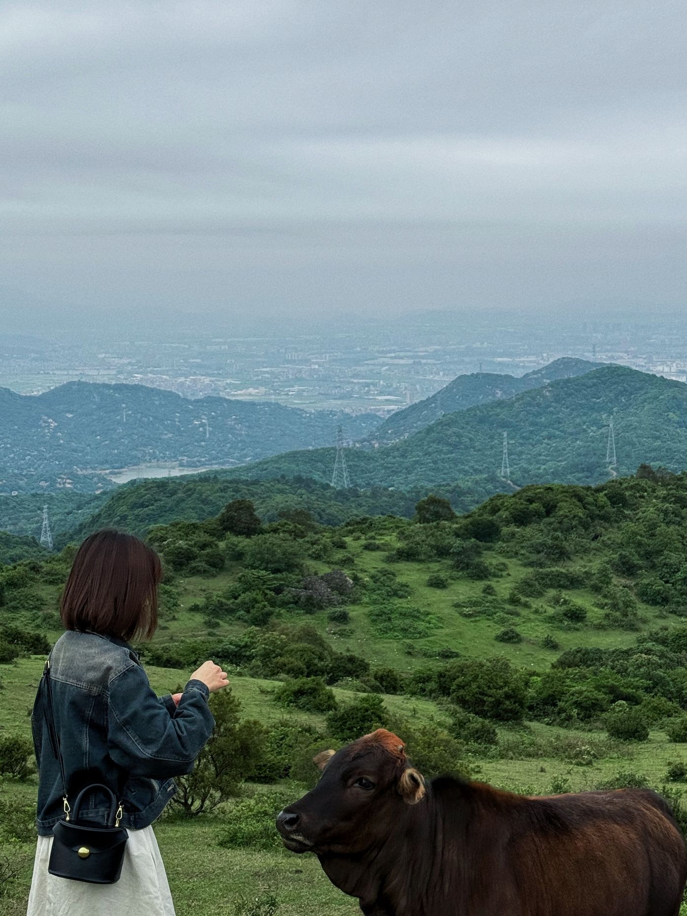 大姆山·食菜厝景区旅行图片 1