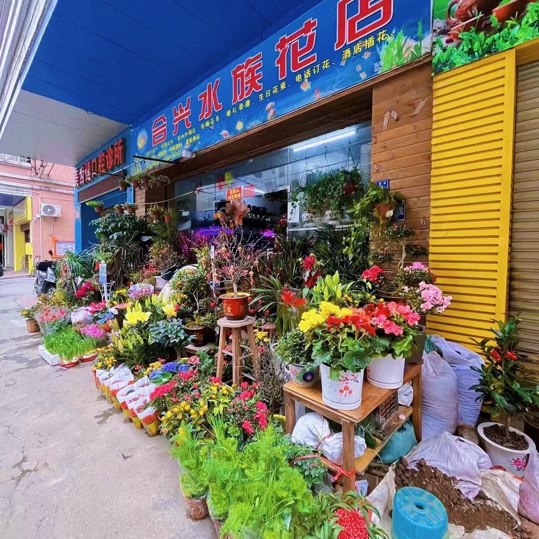 合兴水族花店