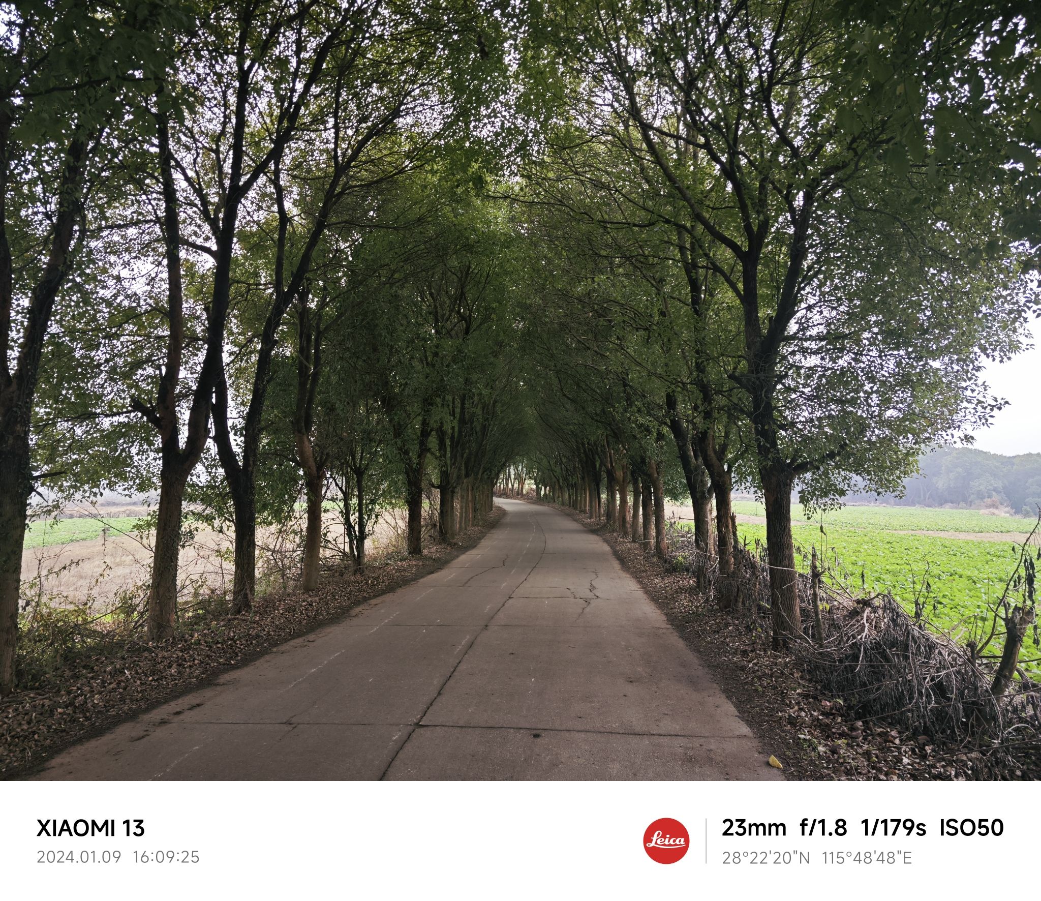 两河口公园旅行图片 2