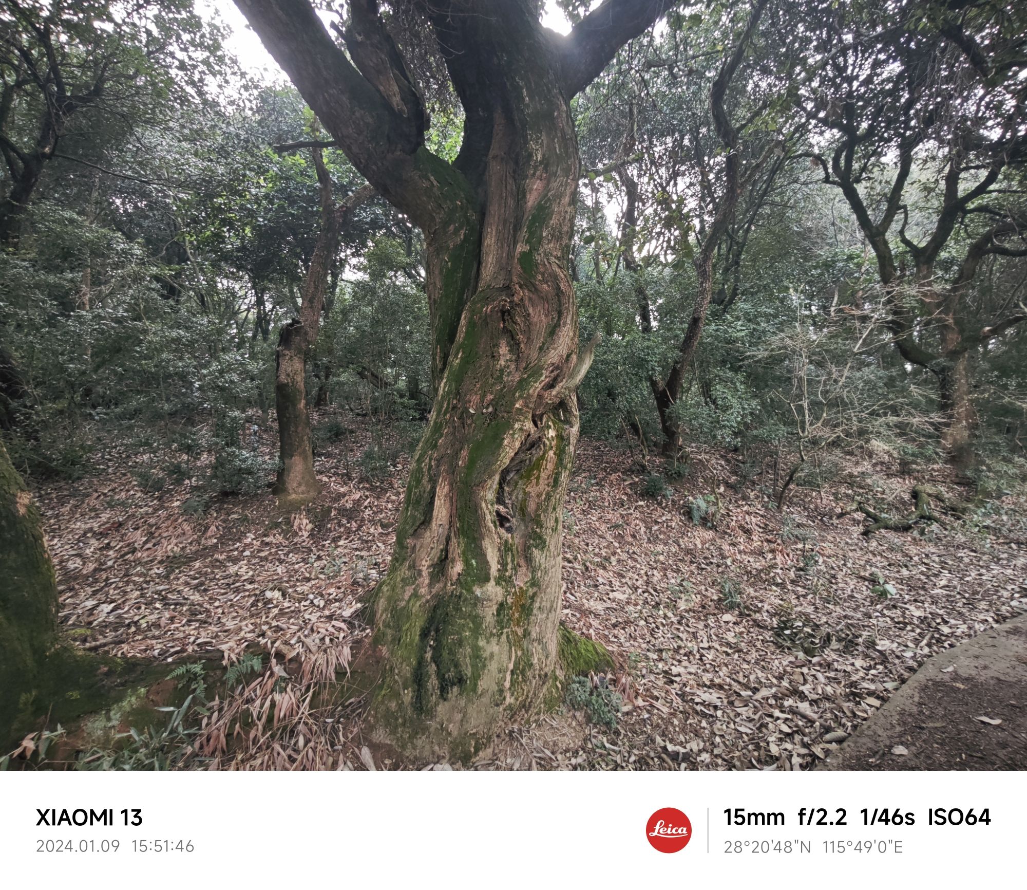 两河口公园旅行图片 3
