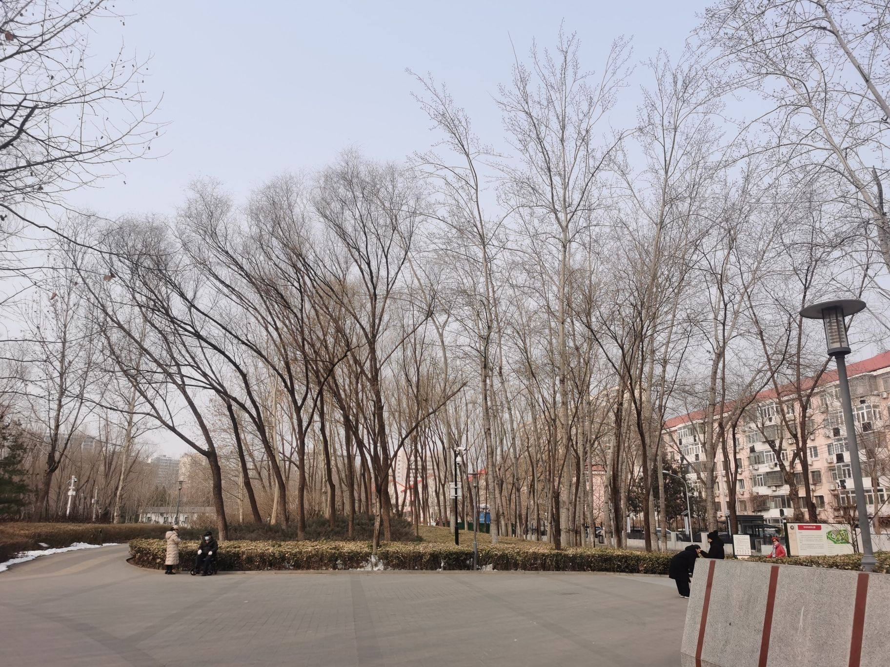 中塔公园旅行图片 3
