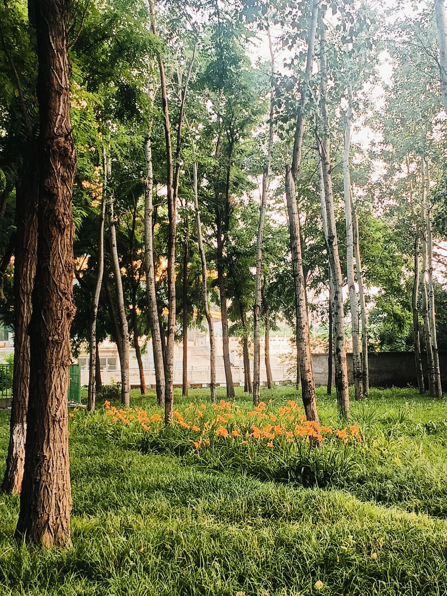中塔公园旅行图片 3