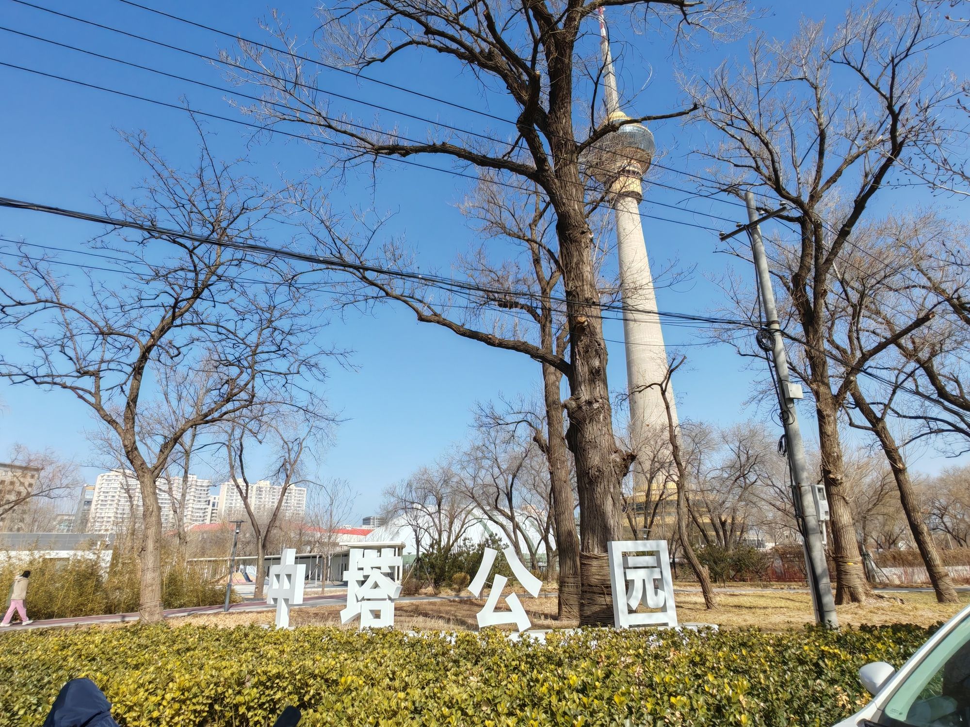 中塔公园旅行图片 1