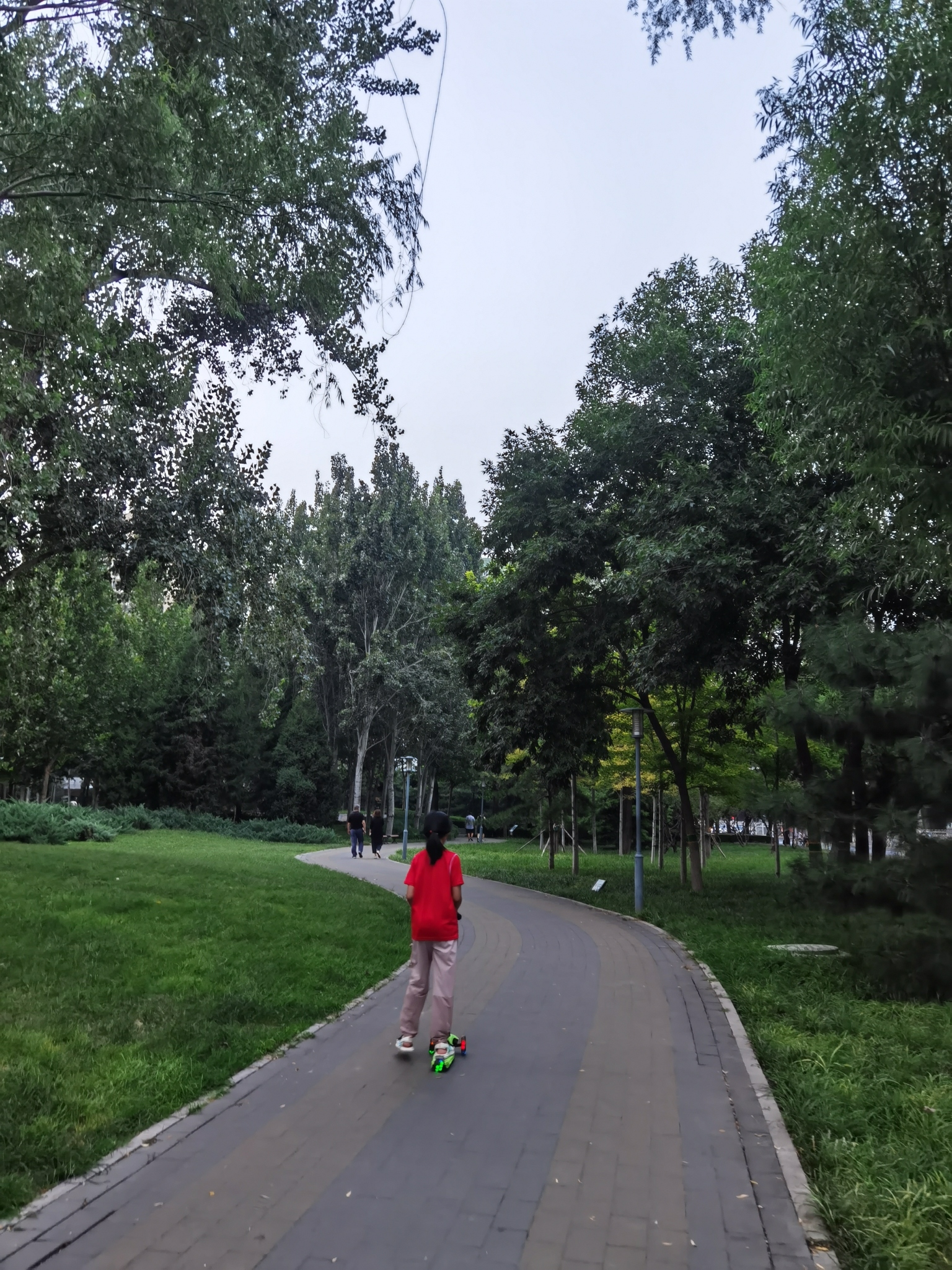 中塔公园旅行图片 1