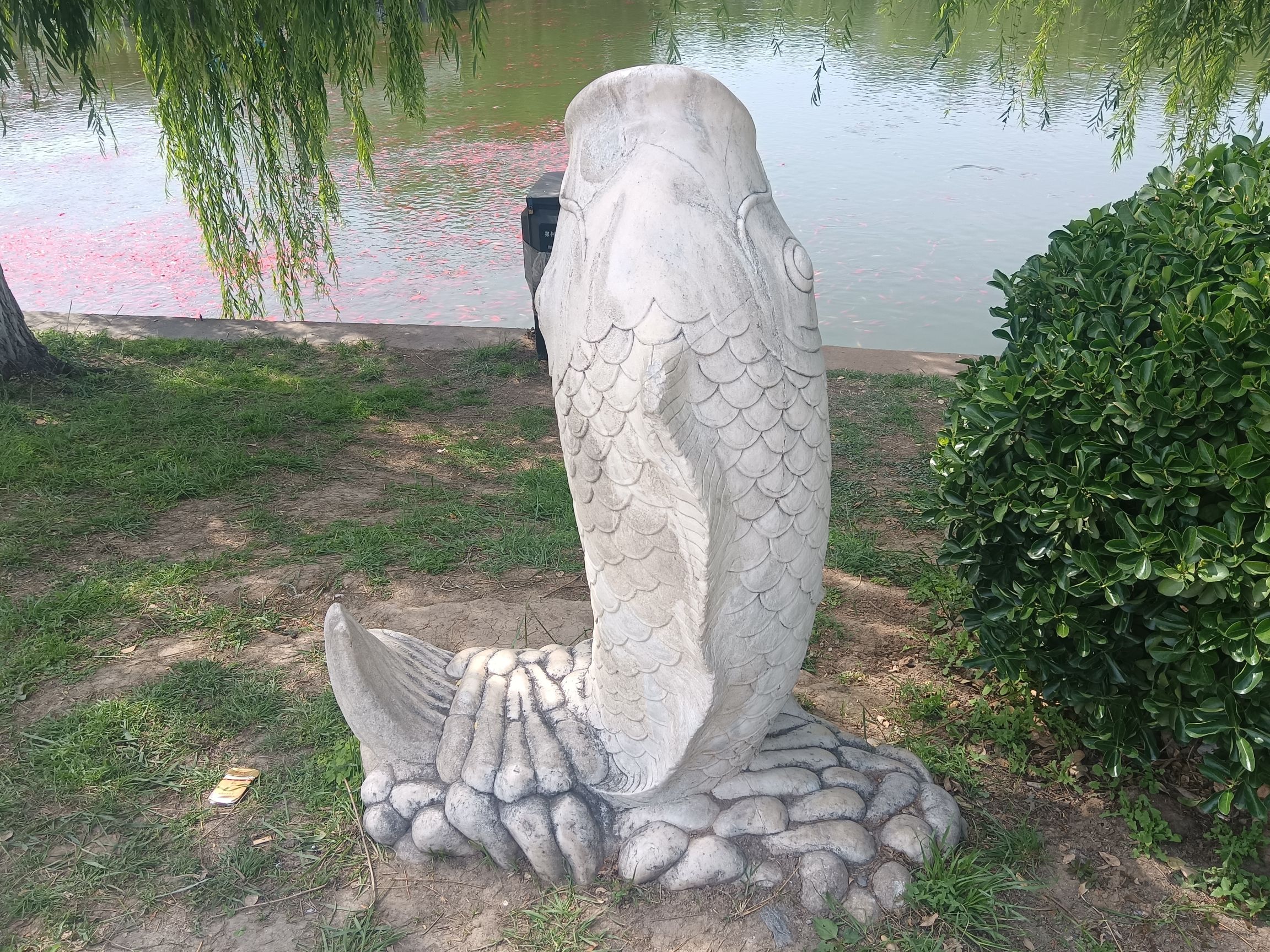 夏荷公园旅行图片 1