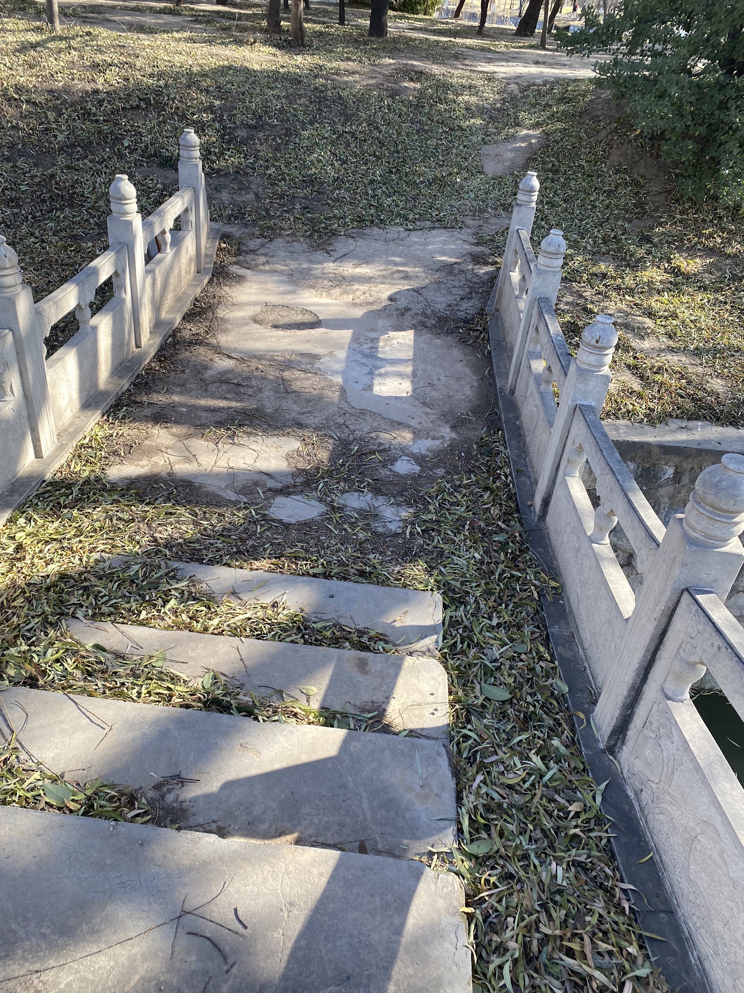 夏荷公园旅行图片 2