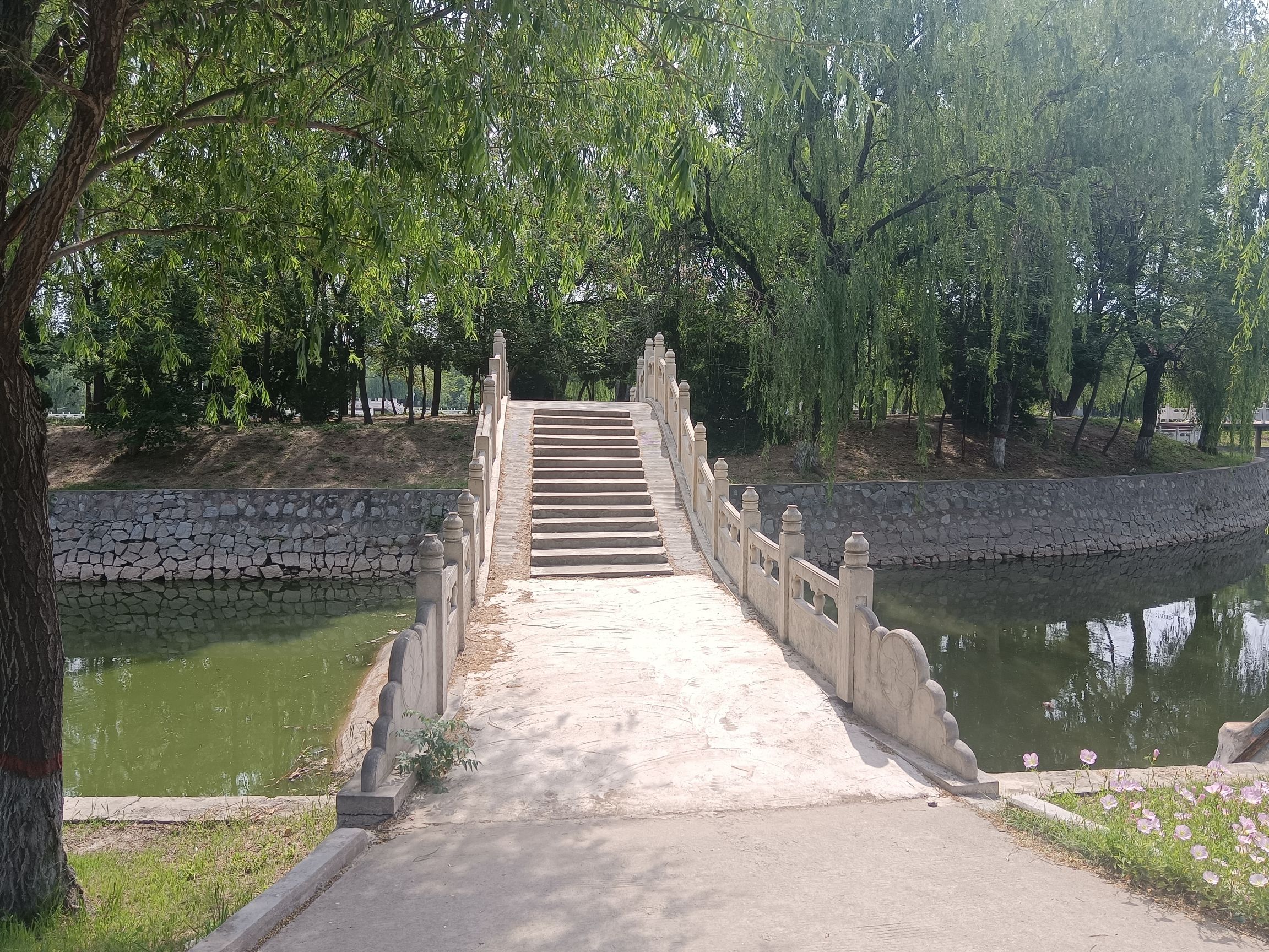 夏荷公园旅行图片 2