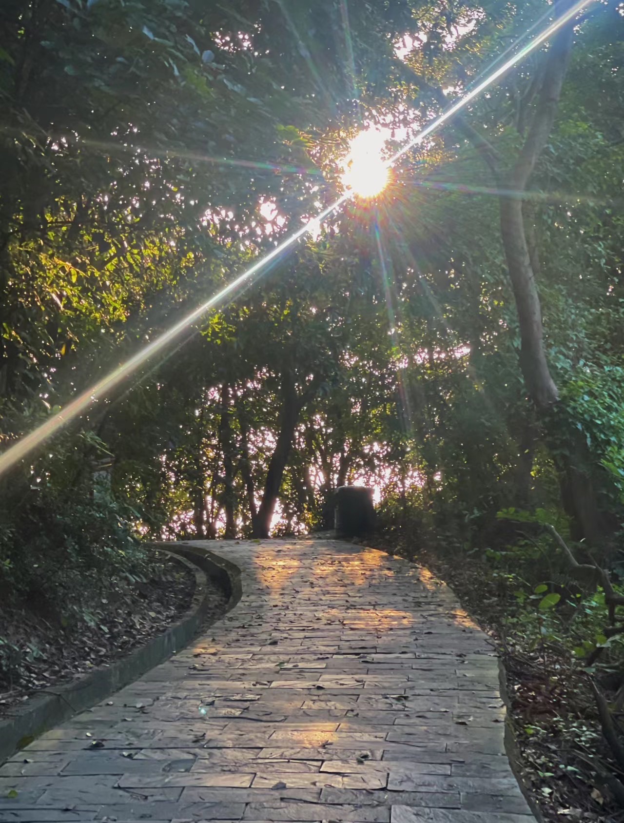 莲花山公园旅行图片 1