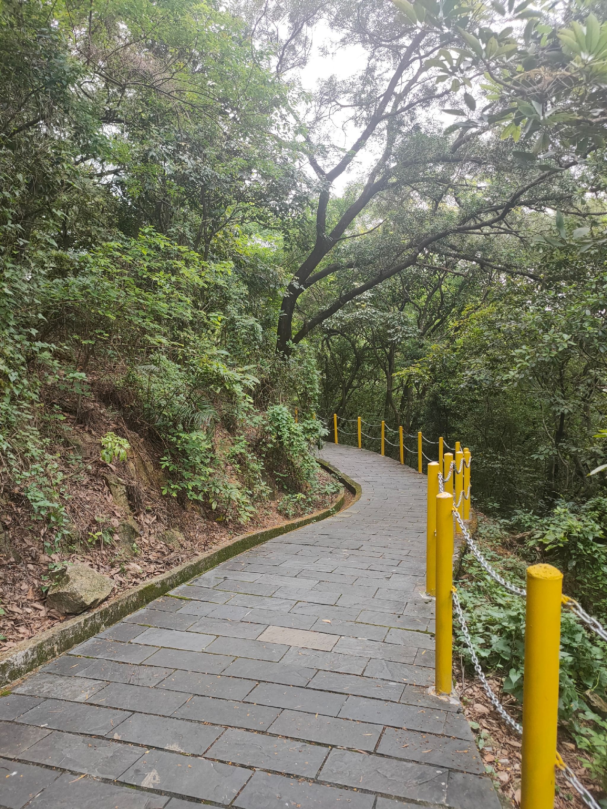 莲花山公园旅行图片 1